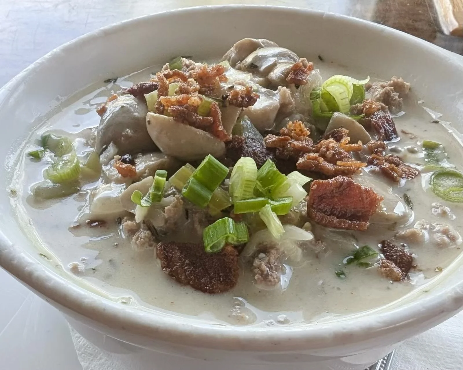 CREAMY BEEF & MUSHROOM  Ground beef, mushrooms, onions, garlic, celery, herbs & spices, chicken broth, and cream. Served over pasta and garnished with bacon and green onions