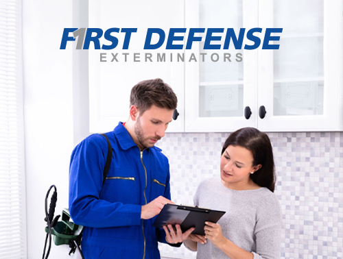 Expert Pest Control: Targeted Solutions for a Pest-Free Home