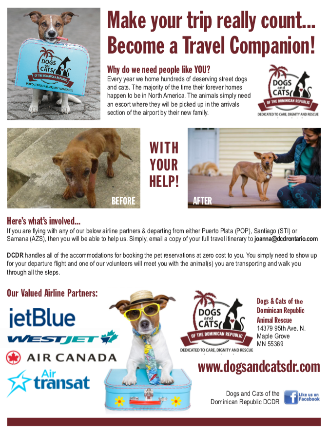 cost of pet transport by air