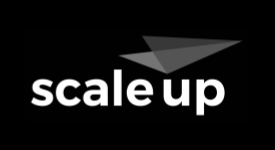 scale up Startup