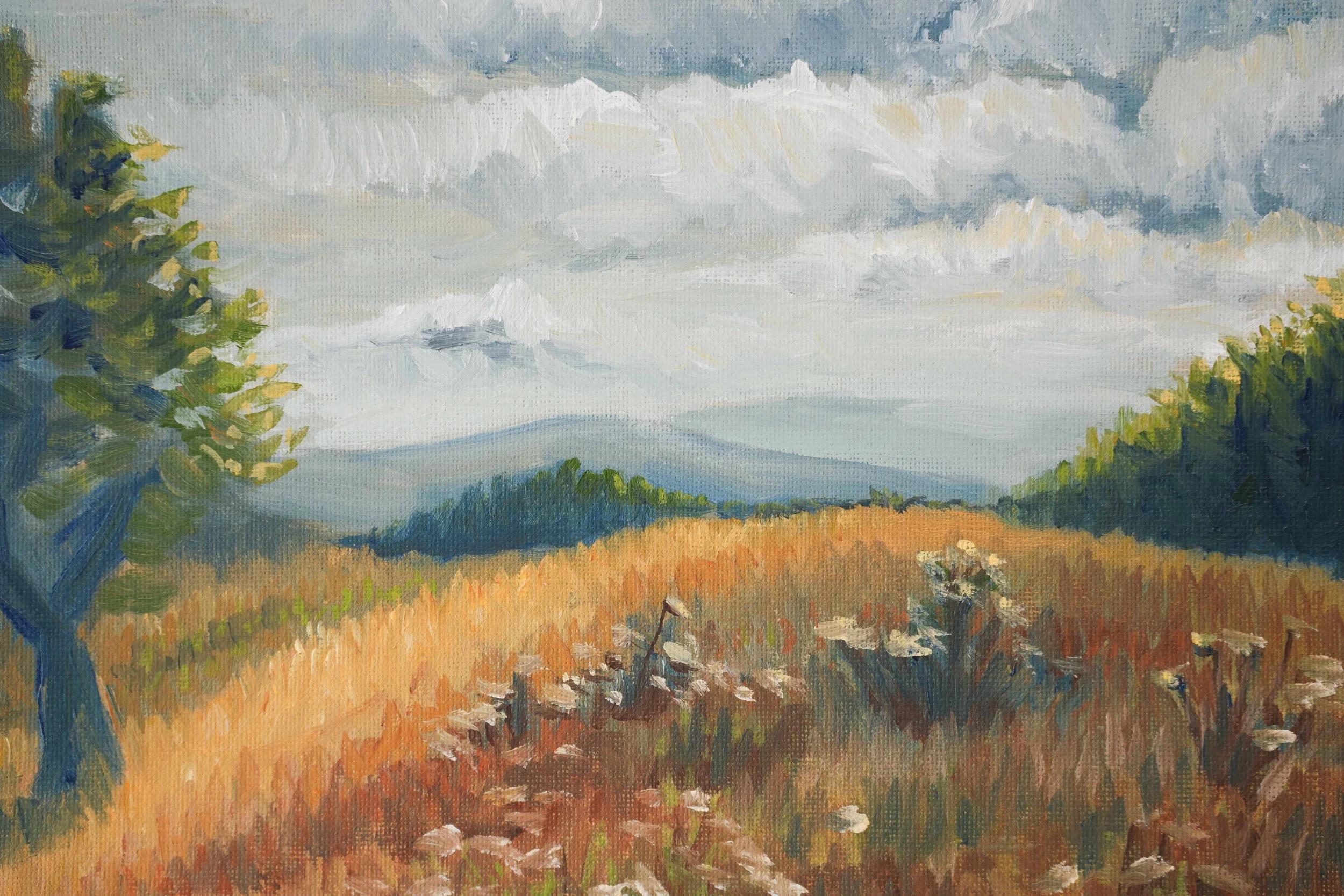 Two Trees — original oil landscape painting inspired by Powell Butte Nature Park, with two trees, wildflowers, and potentially storm clouds