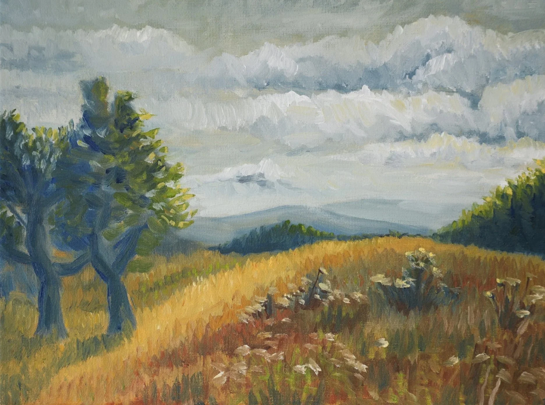 Two Trees — original oil landscape painting inspired by Powell Butte Nature Park, with two trees, wildflowers, and potentially storm clouds