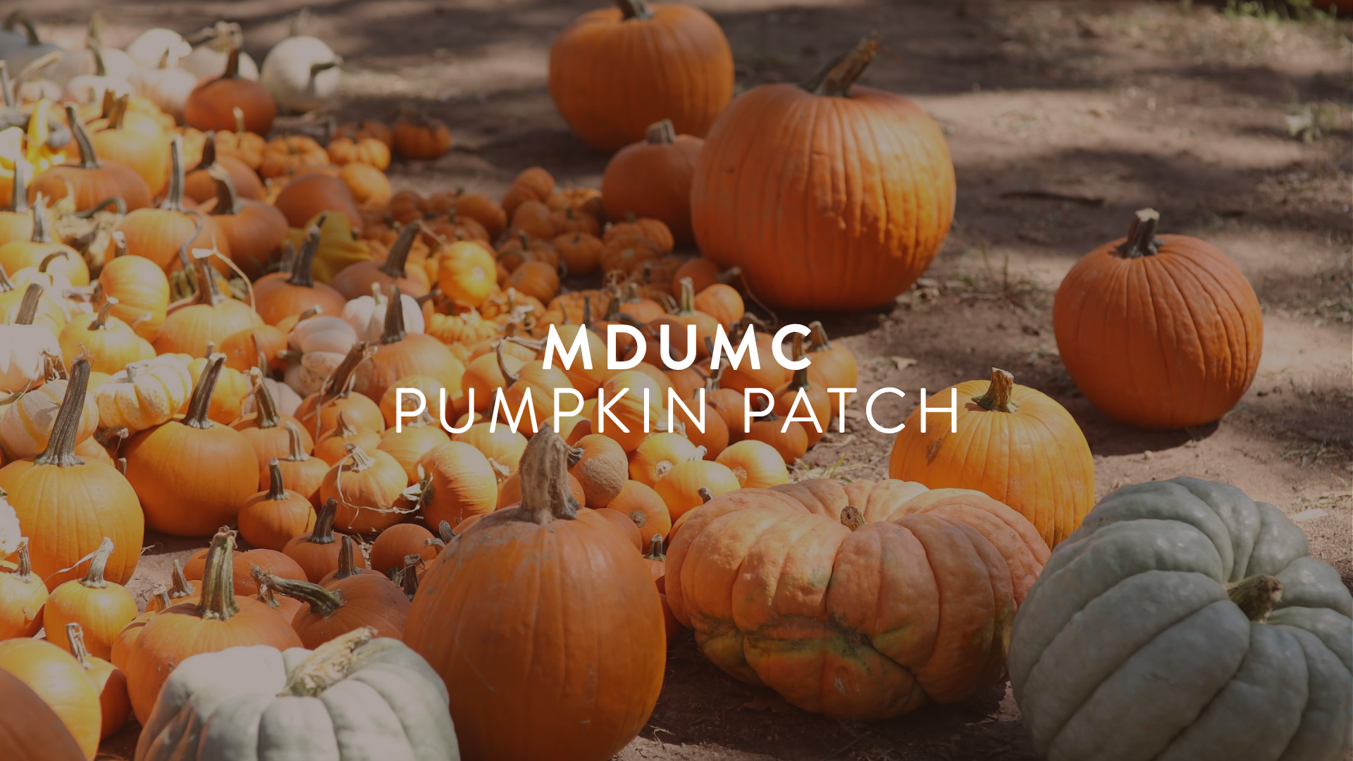 MDUMC Pumpkin Patch