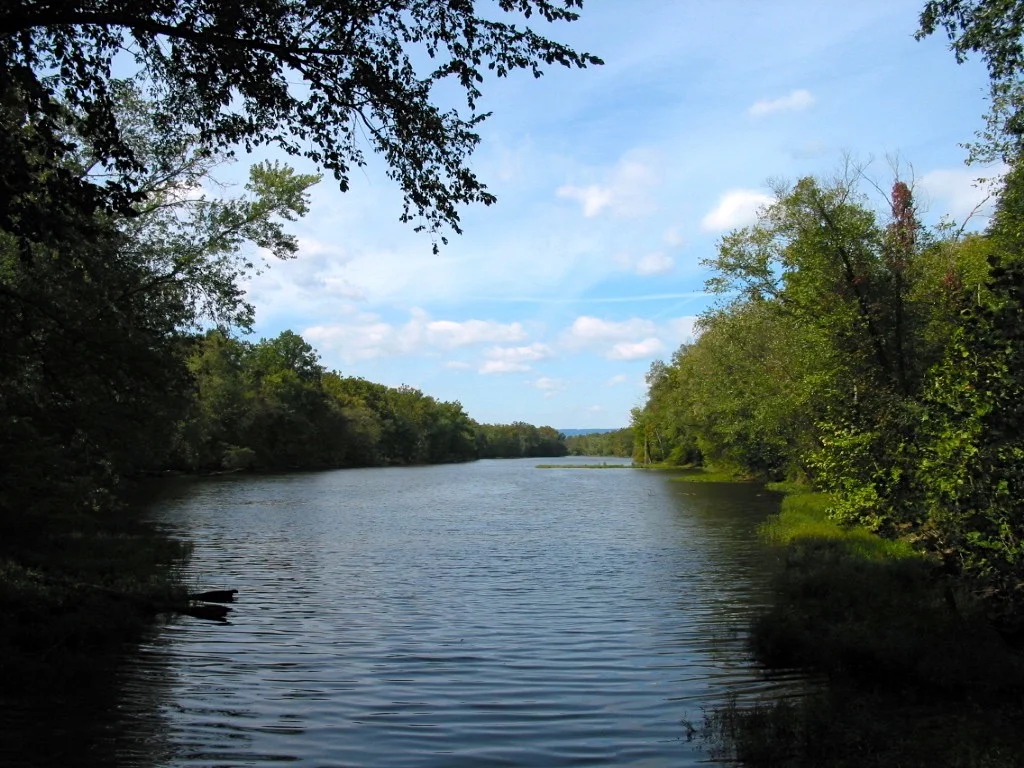 121-2187_IMG.jpg