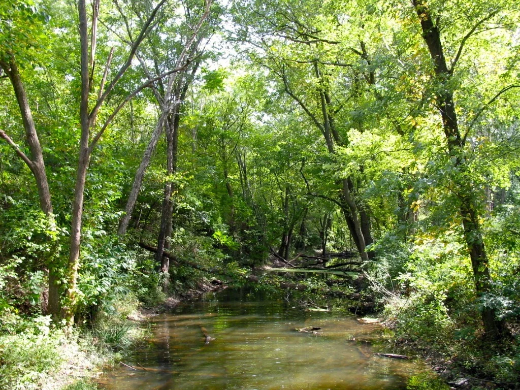 121-2188_IMG.jpg