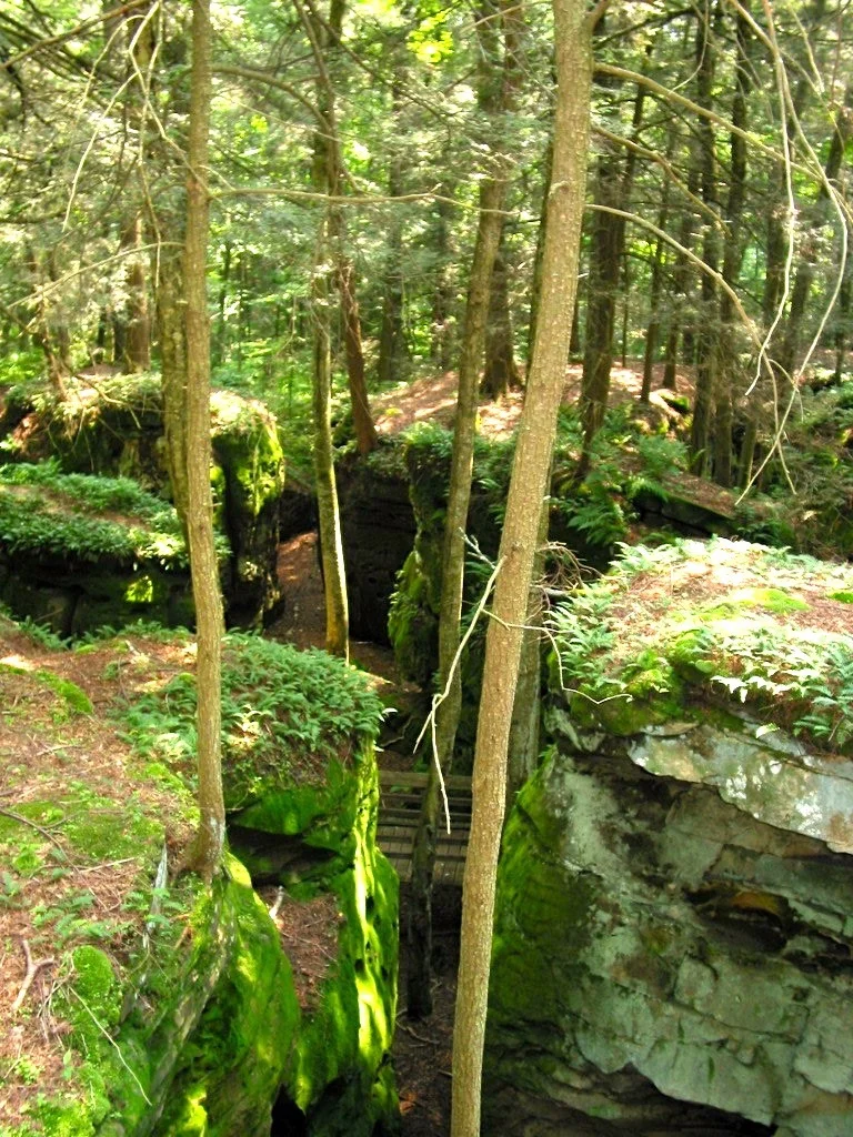 133-3339_IMG.jpg