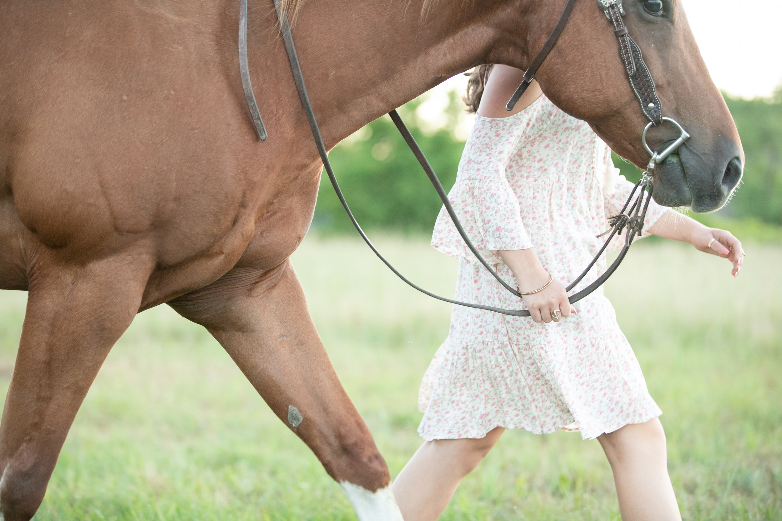 Elyse Bullard - Horse and Rider.jpg