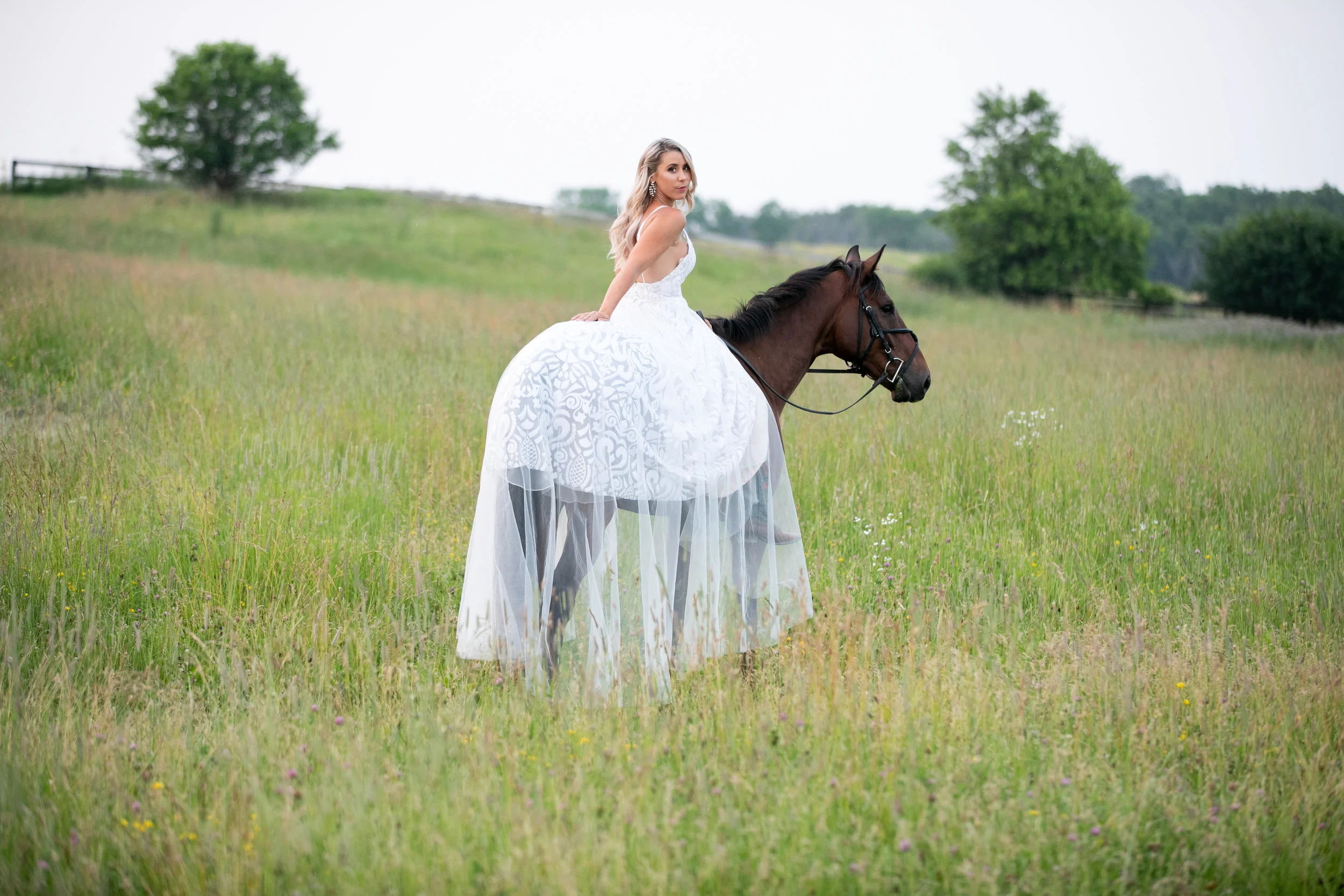 Lake Geneva Equestrian Center Mini Horse & Rider Day — Elyse Bullard