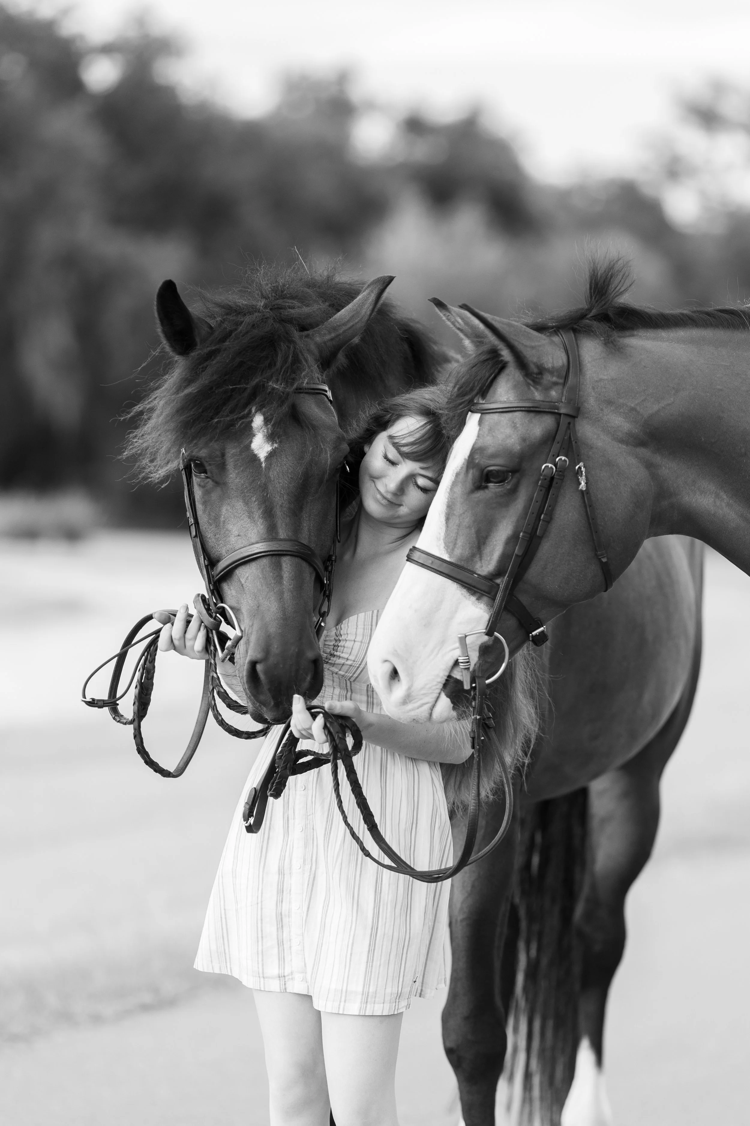 HORSE2026-1588.jpg