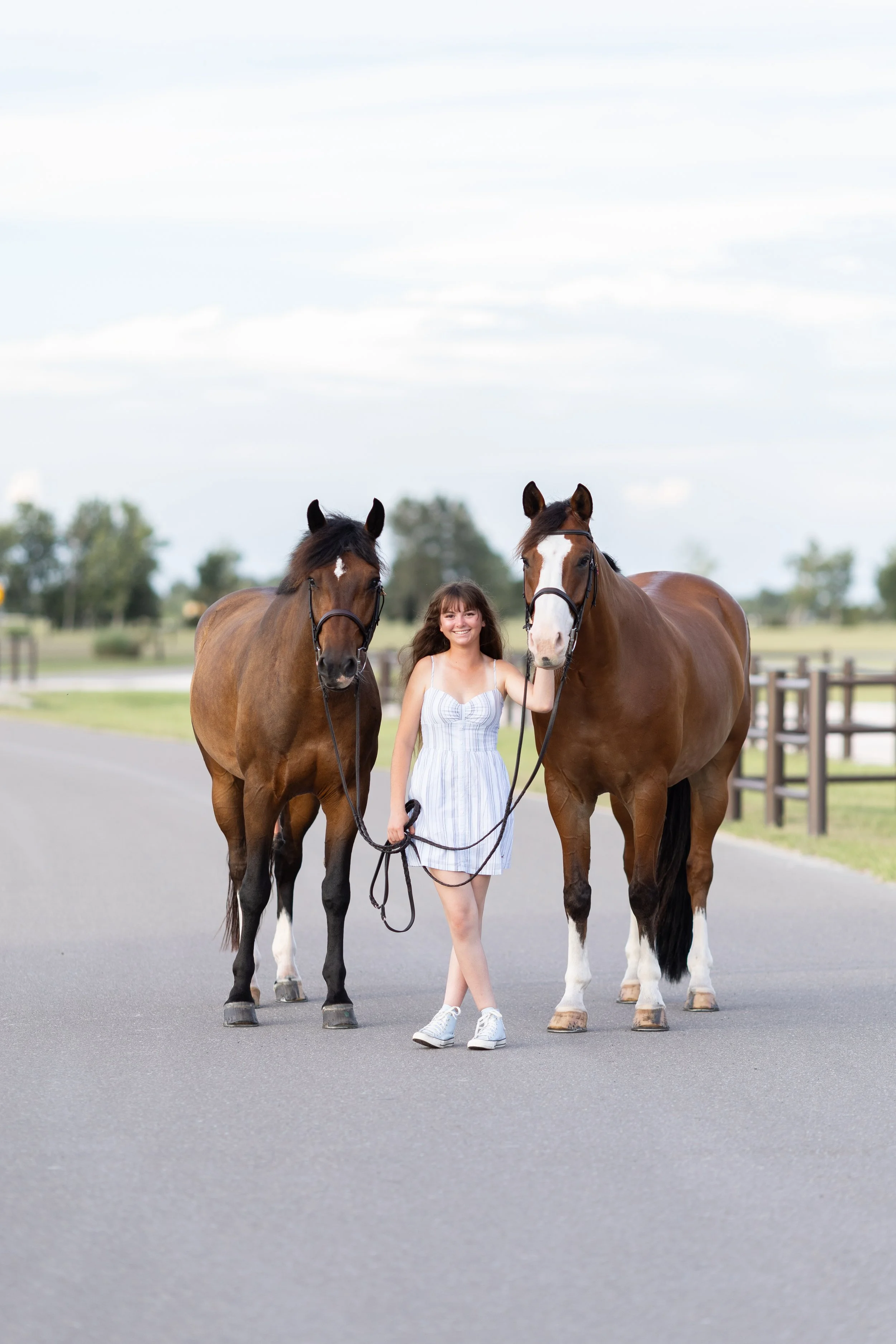 HORSE2026-1568.jpg