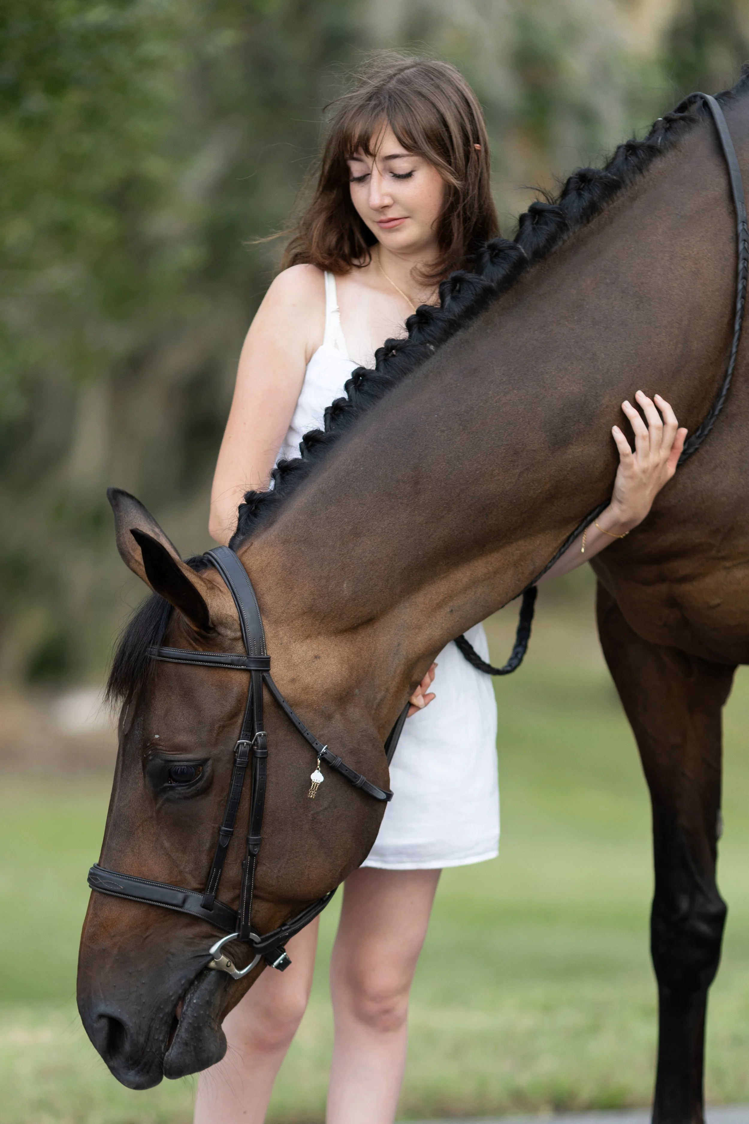 HORSE2026-4143.jpg