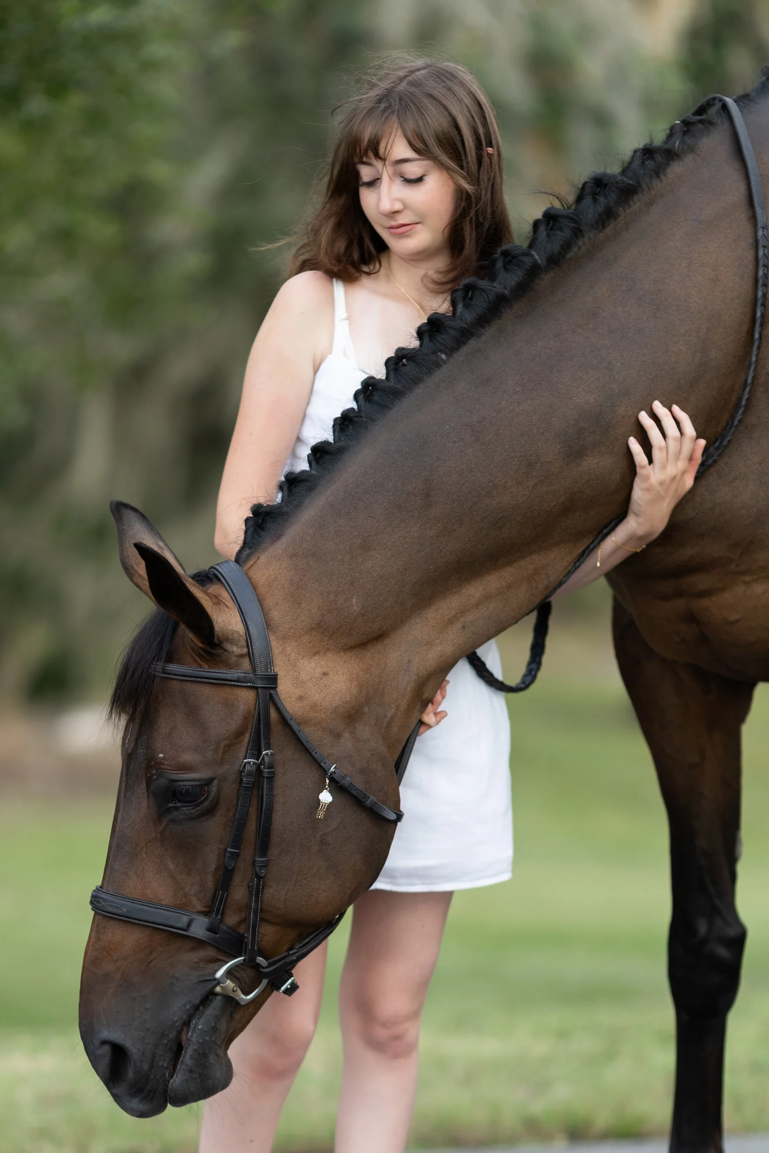 Horse and rider photographed outdoors by Elyse