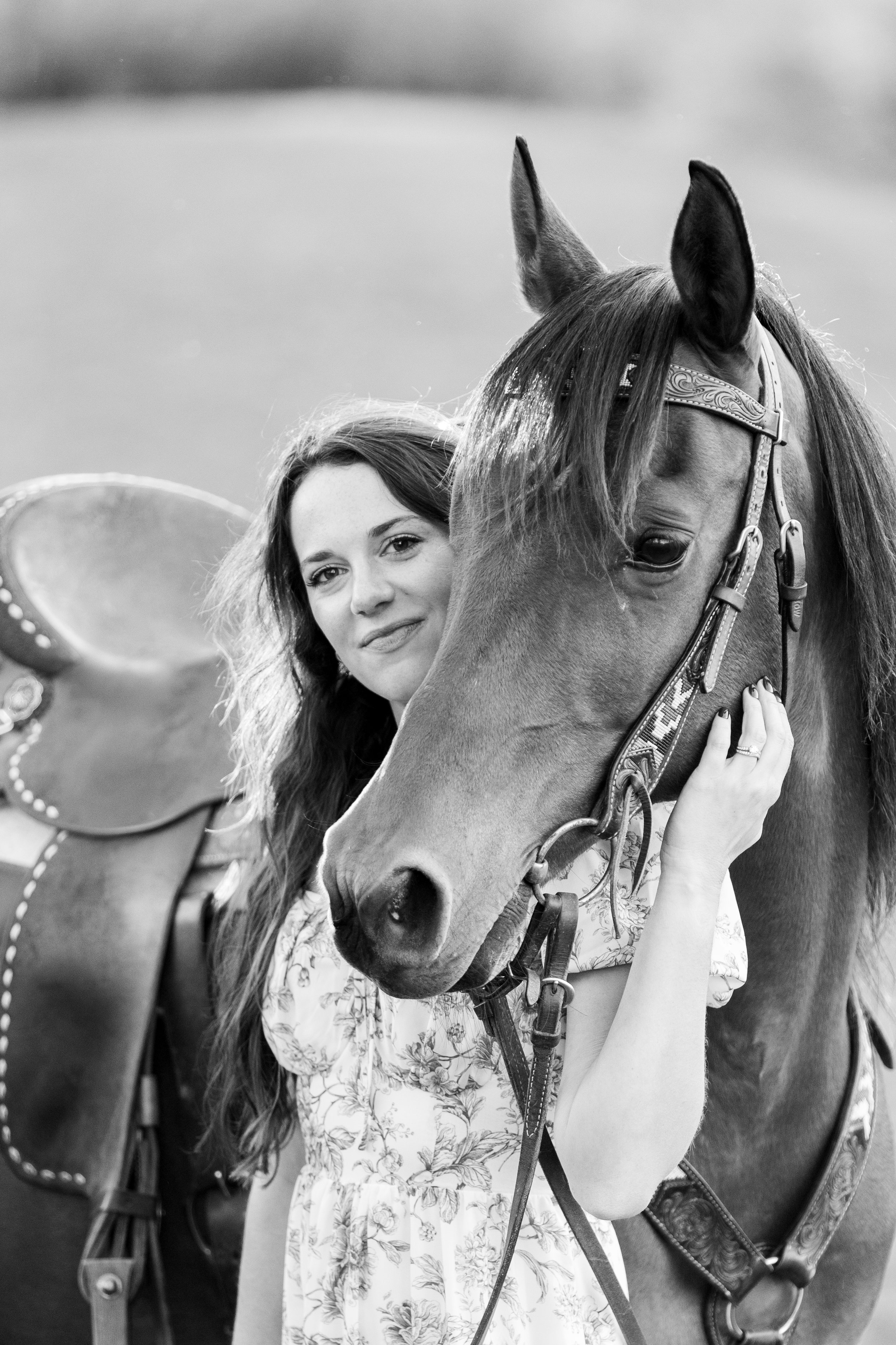 HORSE2025-361.jpg