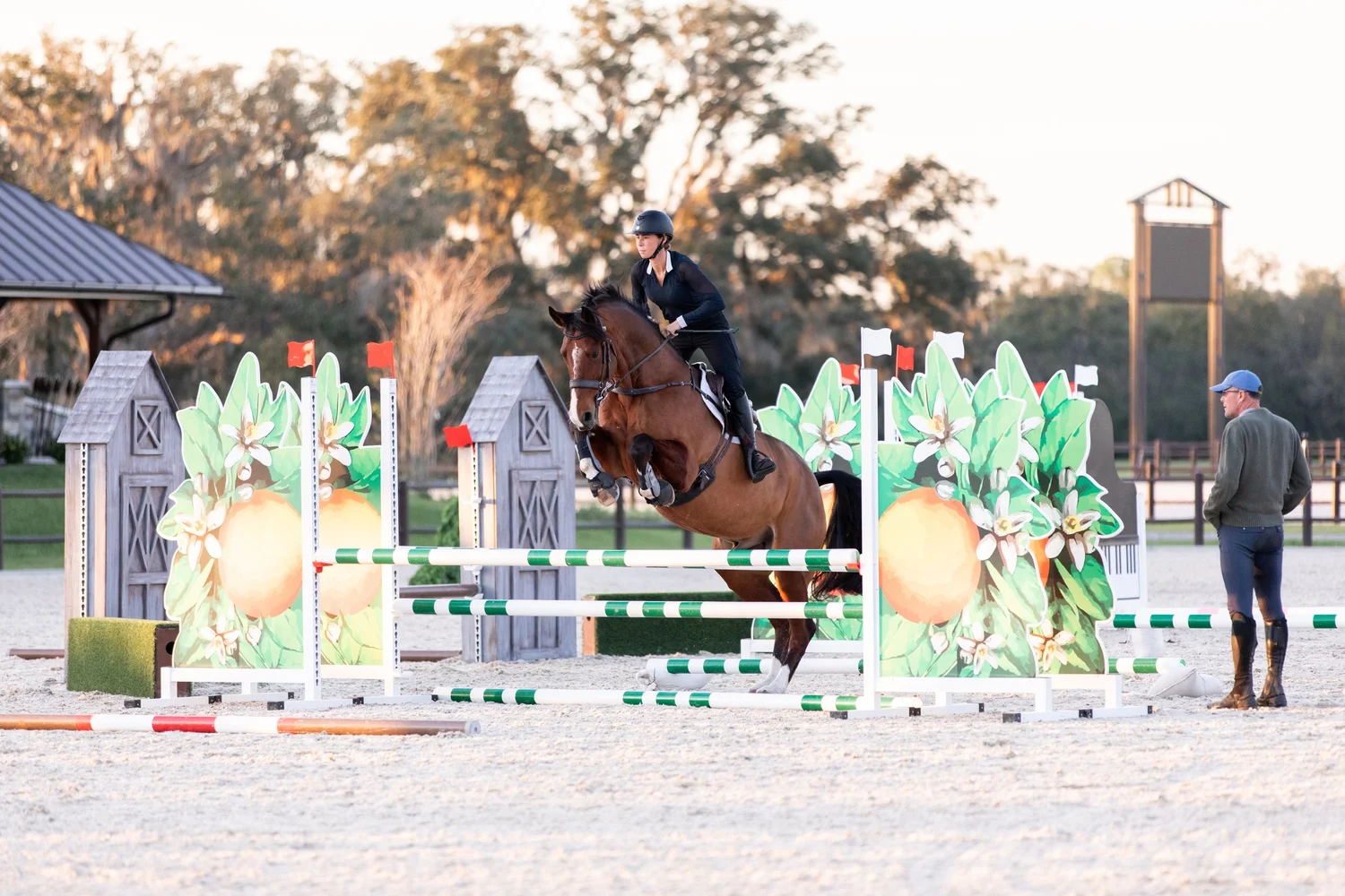 Madison Bonamarte and her horse Balou, Kyle Carter Clinic at TerraNova Equestrian Center Fall 2023