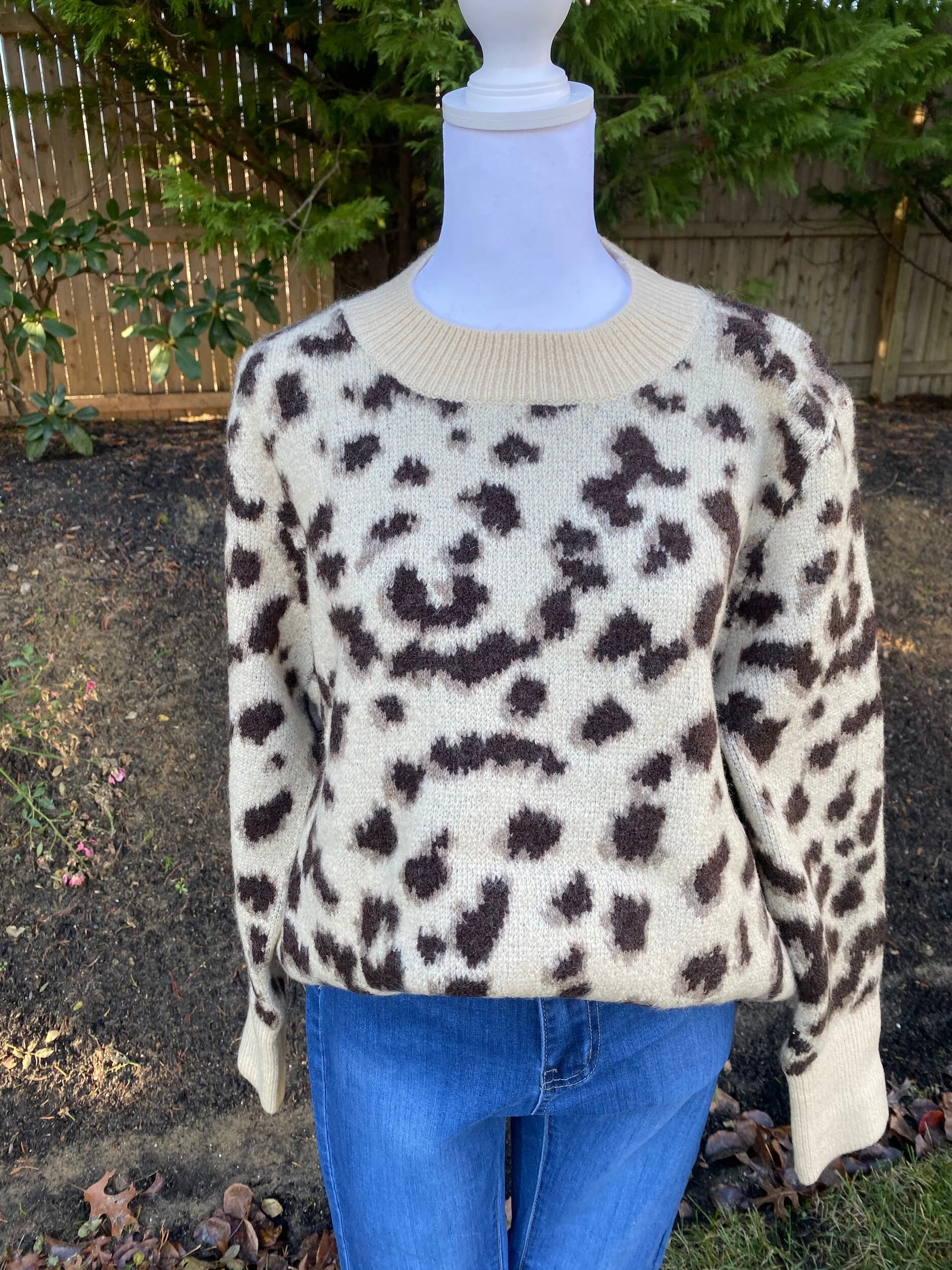 C8004681-D55A-43B8-99FD-89A0F93E3BB4