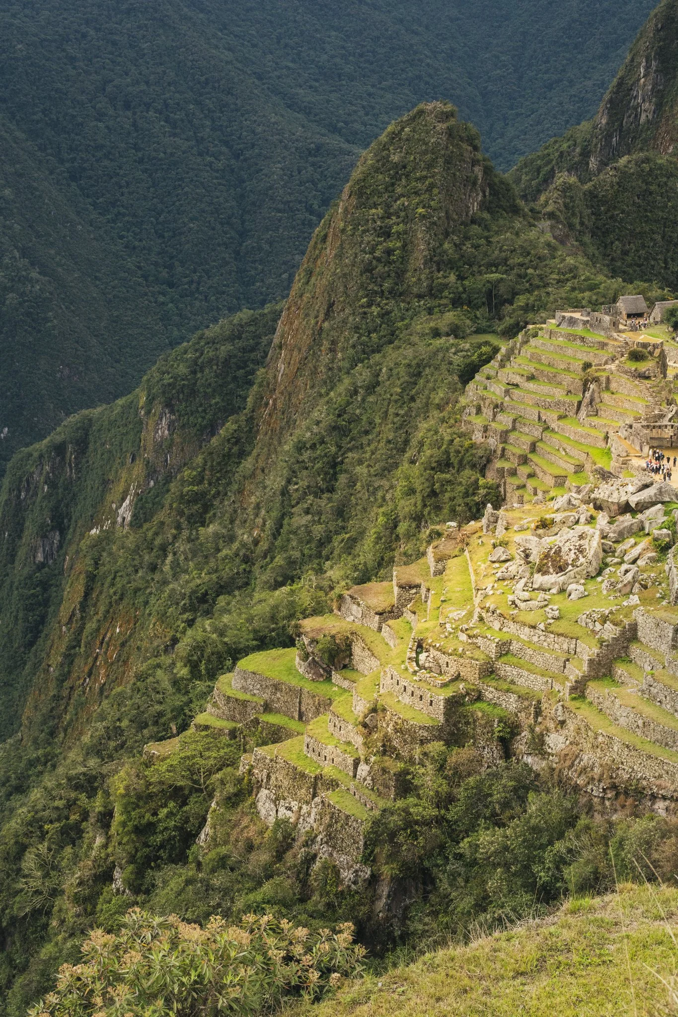 Portfolio Photos-189.jpg