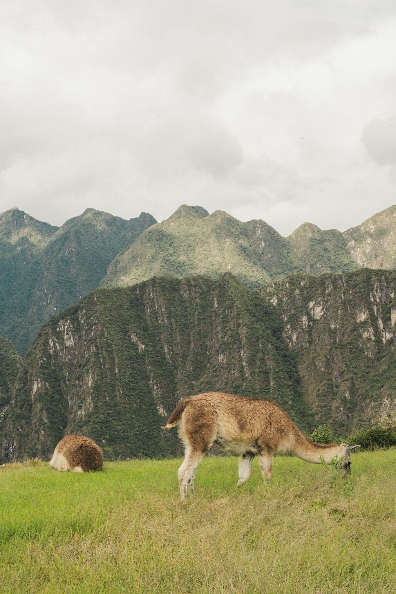 Portfolio Photos-193.jpg