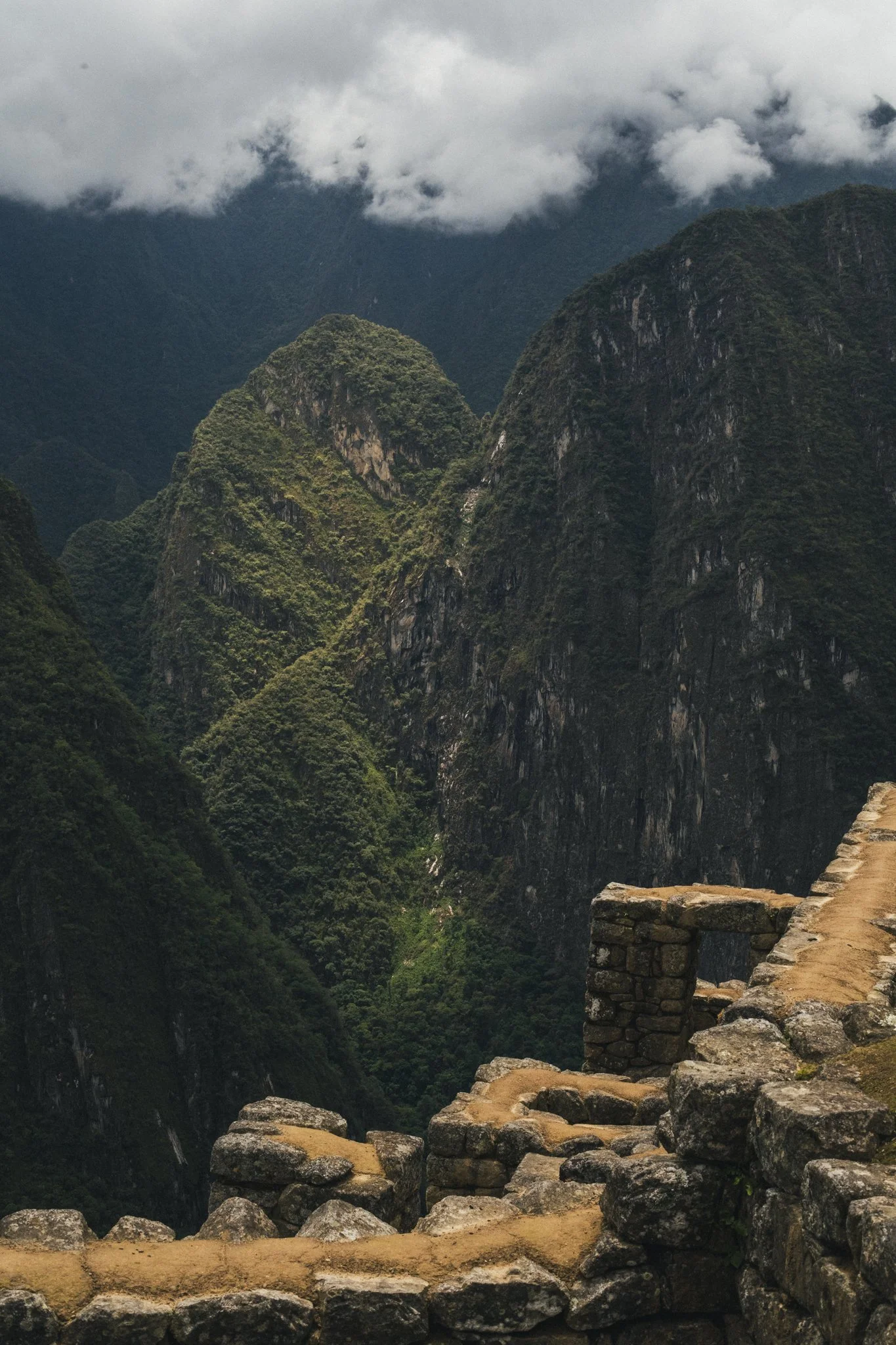 Portfolio Photos-197.jpg