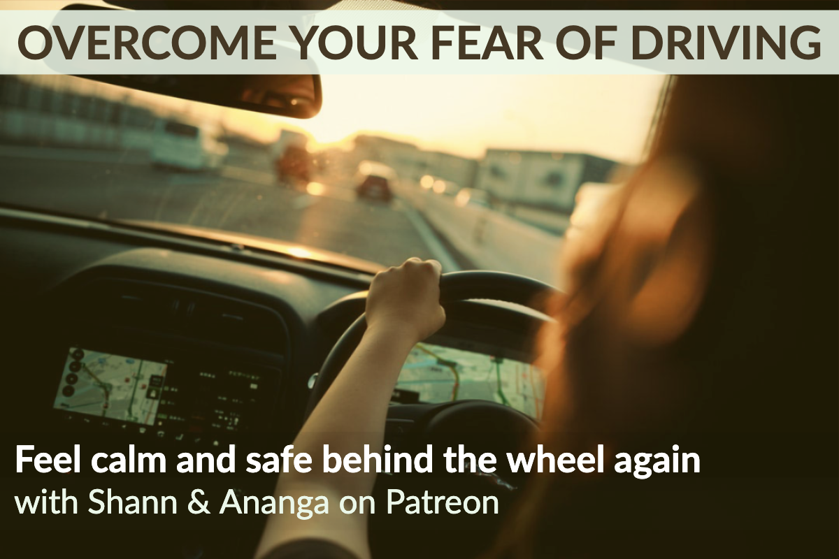 Fear Of Driving In Car : Symptoms and Treatment for Fear of Driving – PPWBP