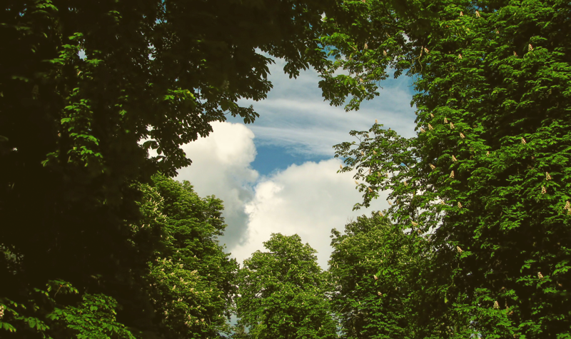 496: Breathing through lockdown: How to calm anxiety and look after your lungs