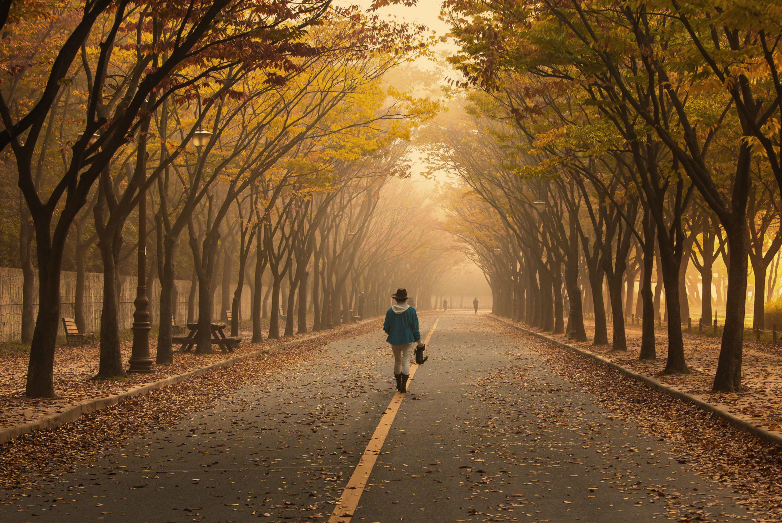 522: The benefits of having an anxiety calming practice to begin the New Year