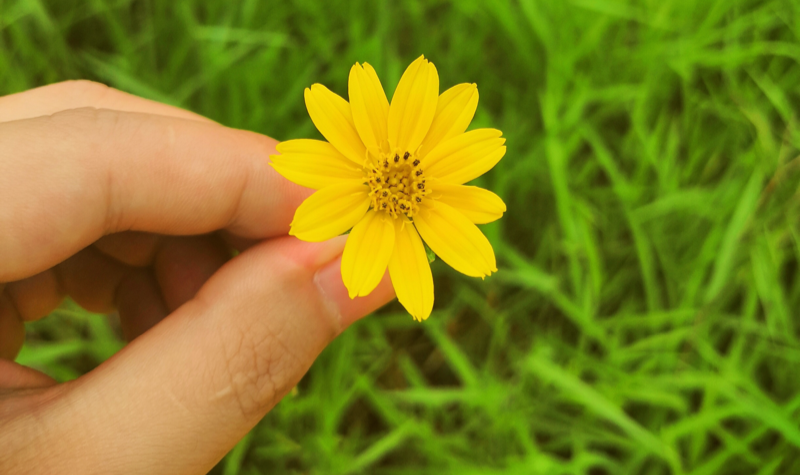 531: How to stay in gratitude when you're always waiting for something bad to happen