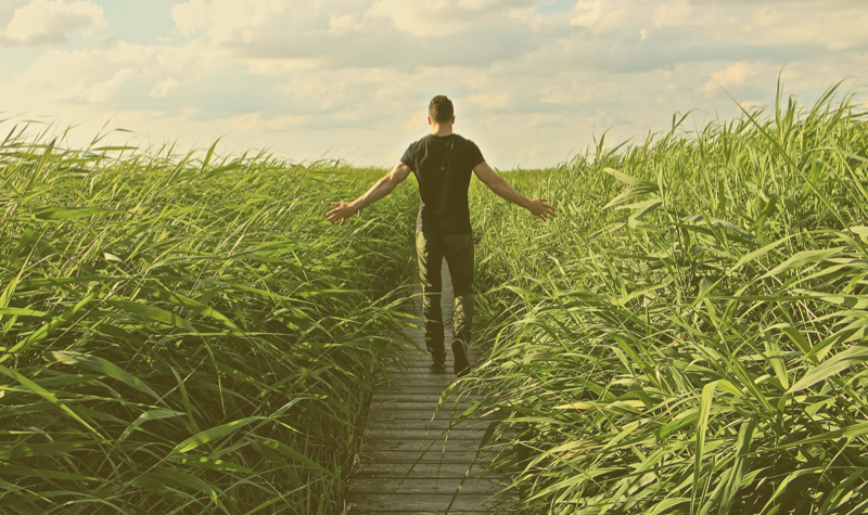 535: Stepping out of the Stress Cycle