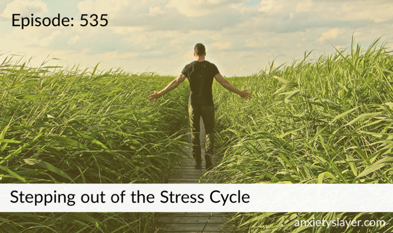 stepping out of the stress cycle.png