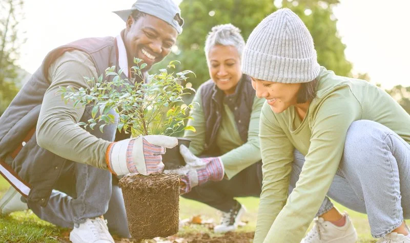 667: How to circumvent environmental anxiety