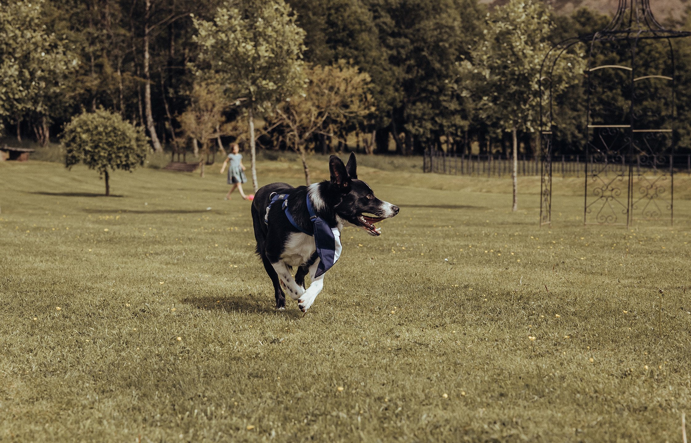 4F3A7100.jpg