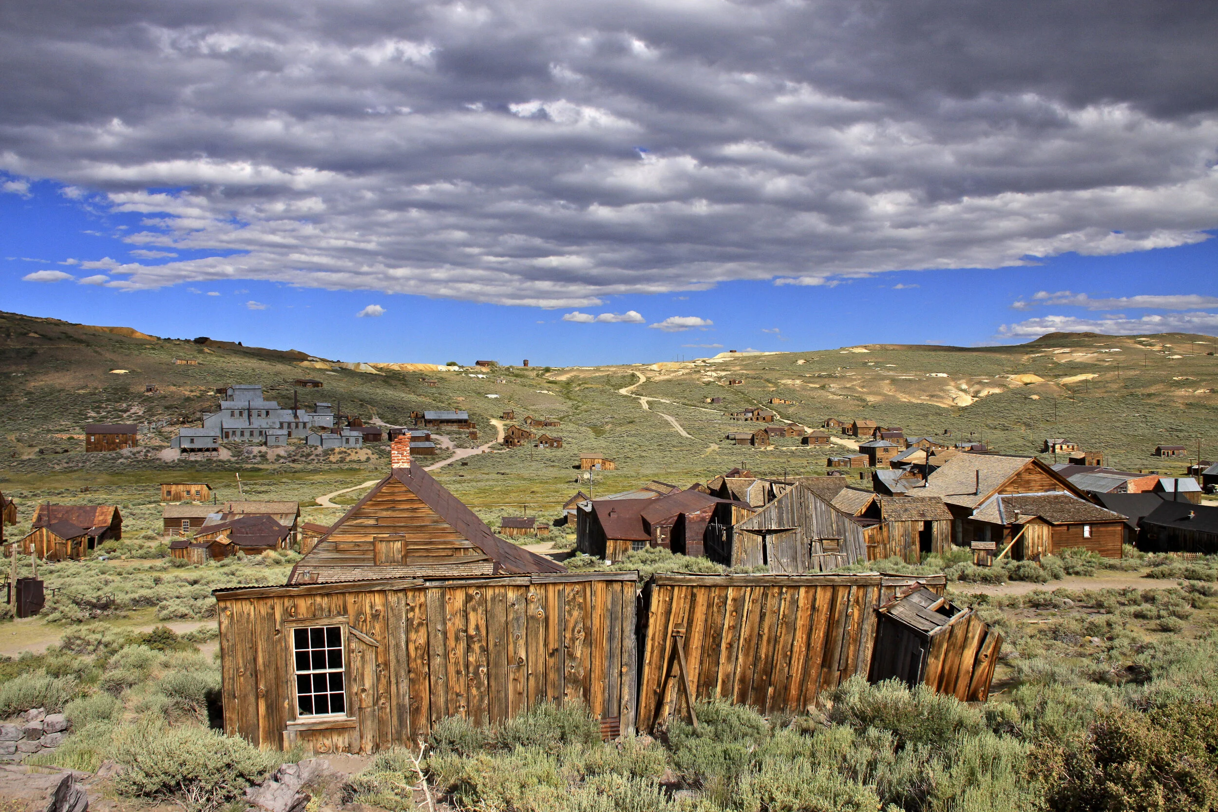Bodie's SOFT OPENING today!