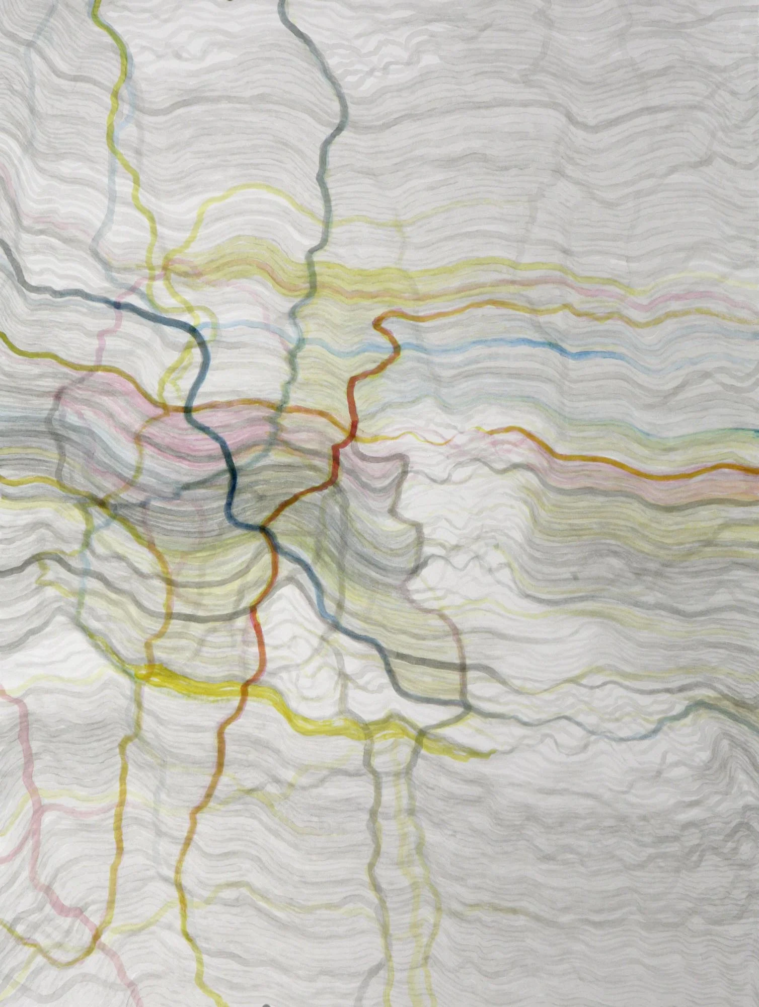 Credentials , 2007 Acrylic ink and watercolor on paper 22 x 30 inches