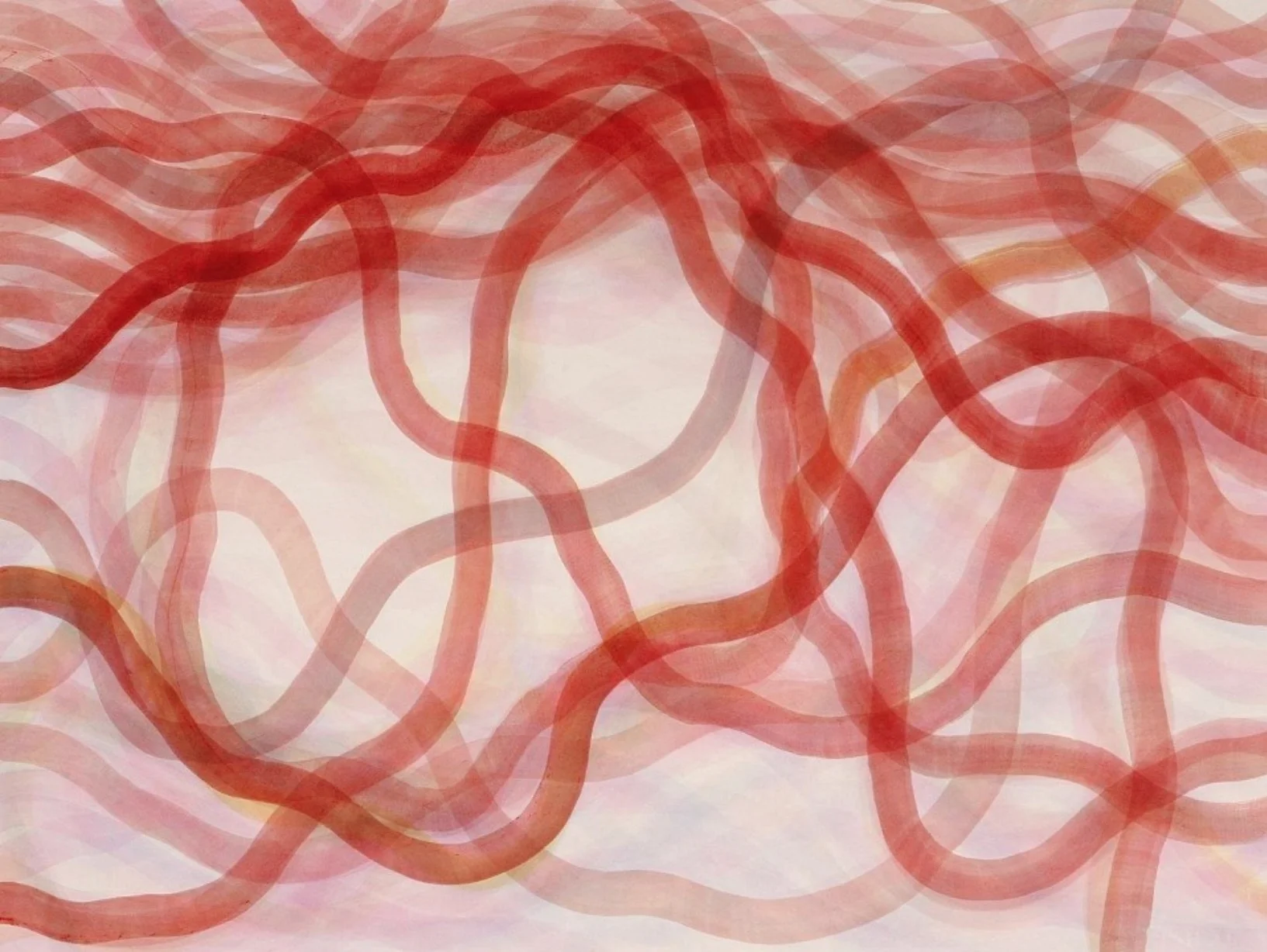 Aperture , 2006 Acrylic ink and watercolor on paper 22 x 30 inches