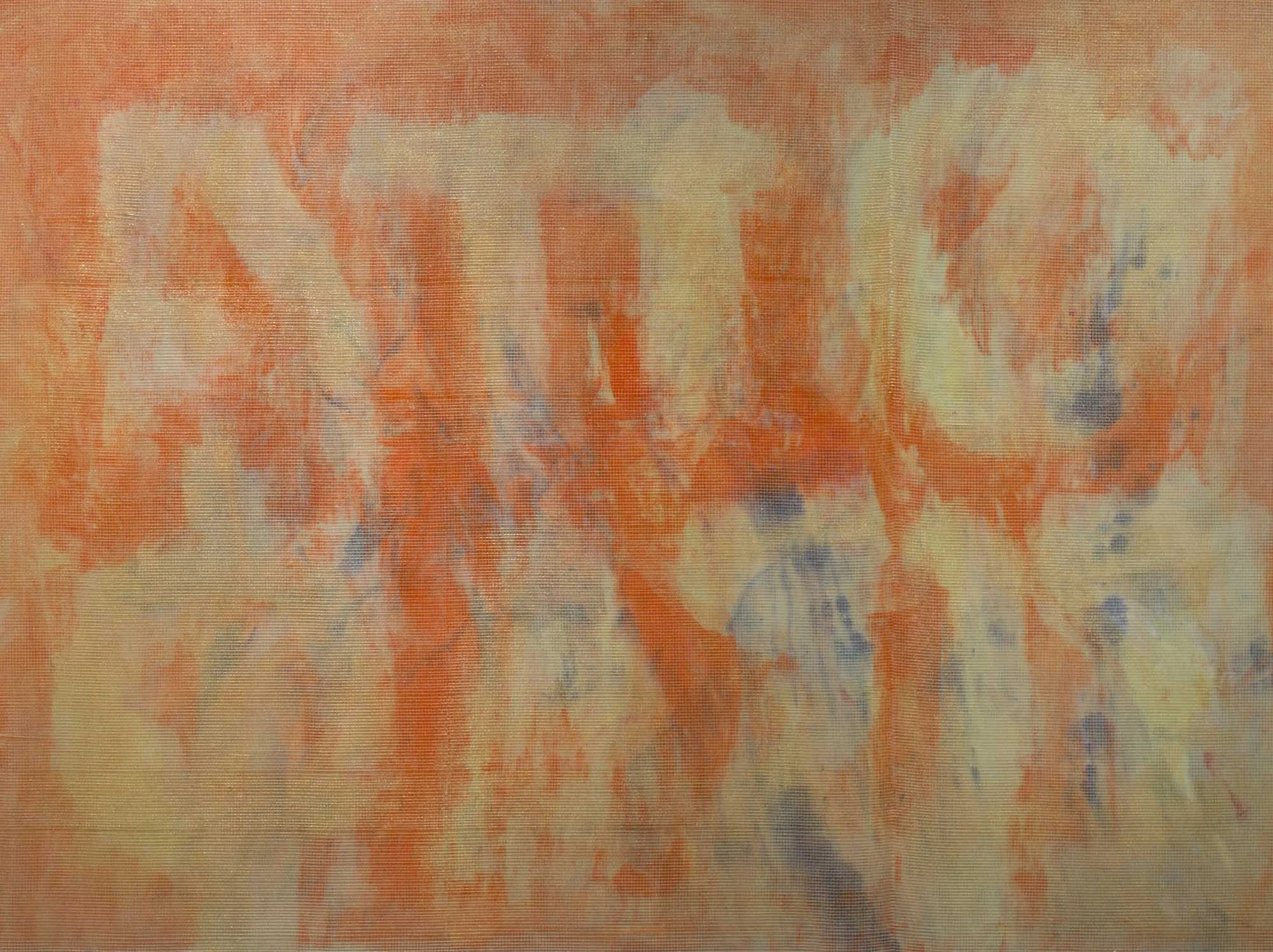Ground , 2018 Layers of acrylic and plastic mesh on panel 36 x 48 inches