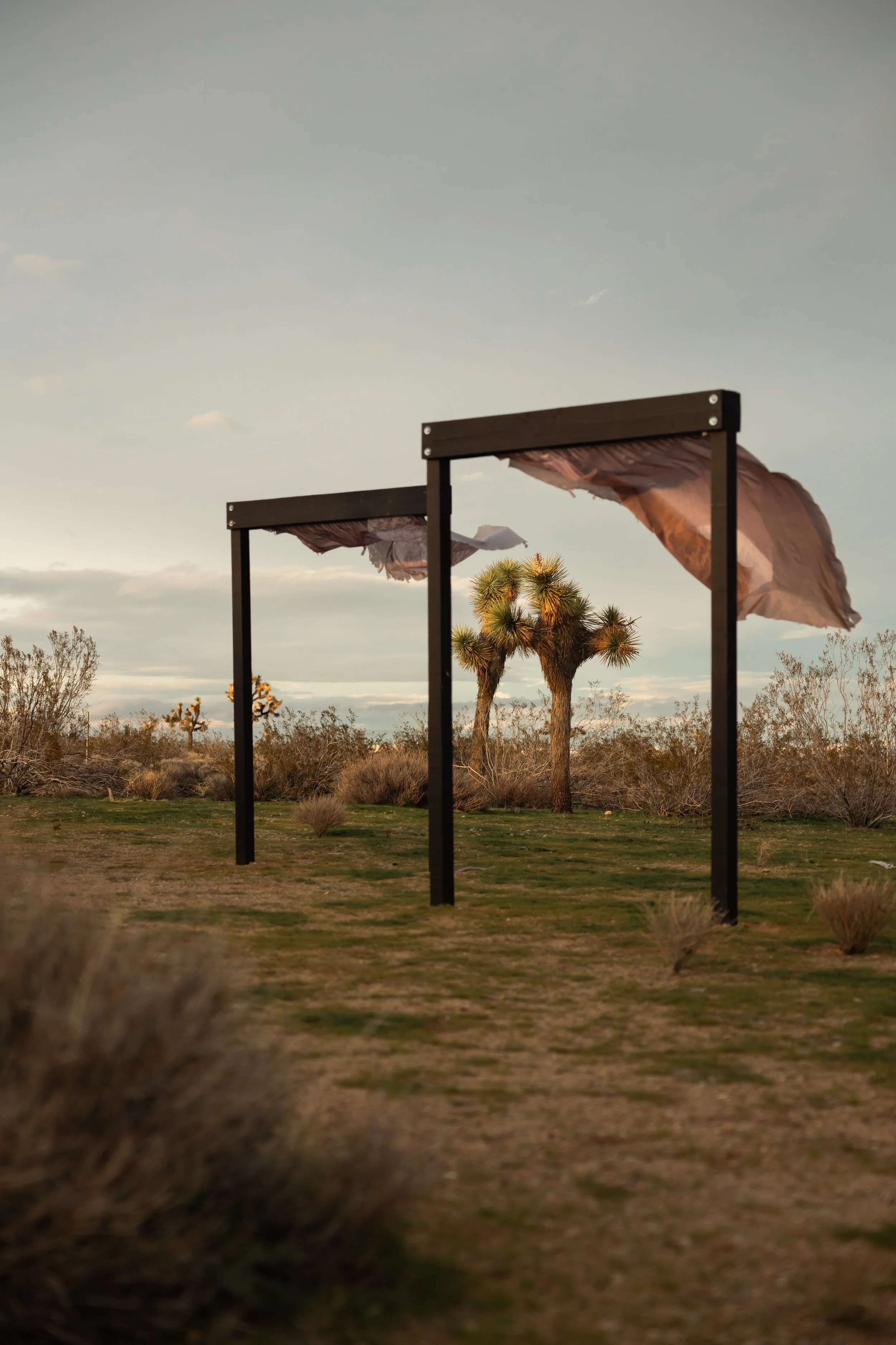 Joshua Tree Family-14.jpg
