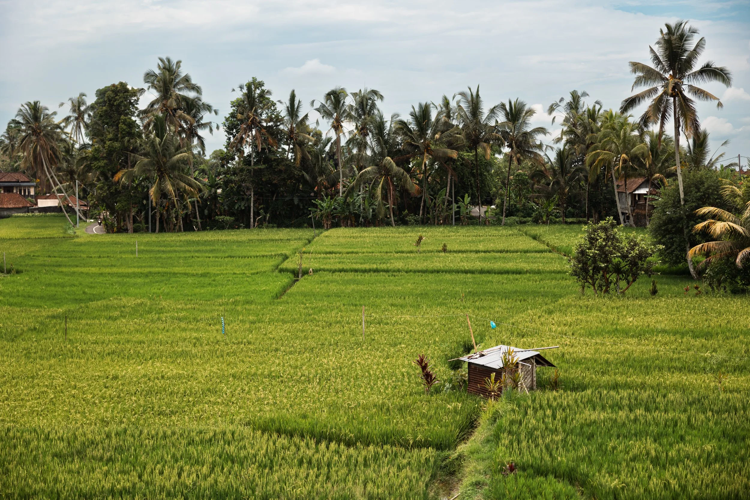 PB Ubud Bali-12.jpg