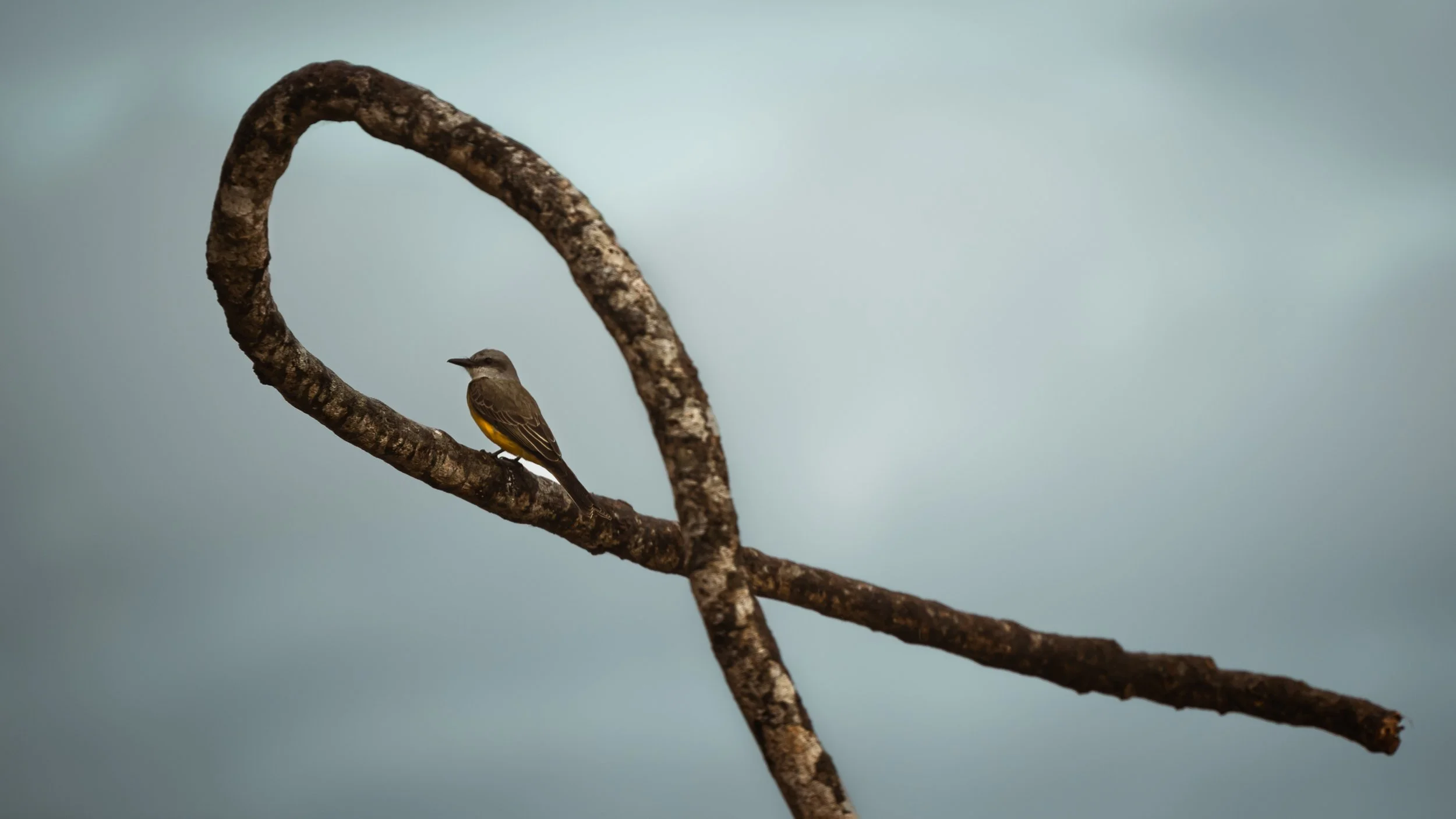 Amazon Rainforest + Auqua Expedition (Peru)-9.jpg