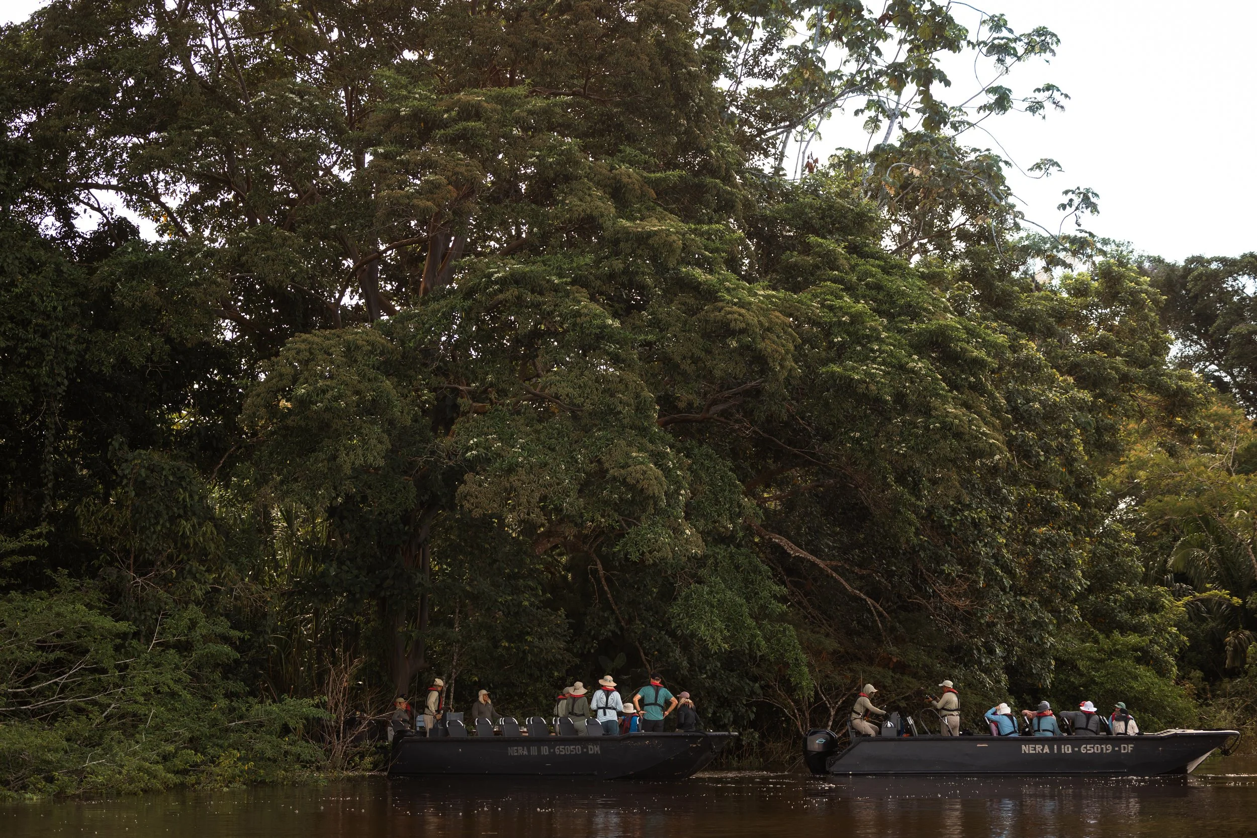 Amazon Rainforest + Auqua Expedition_Peru-7.jpg
