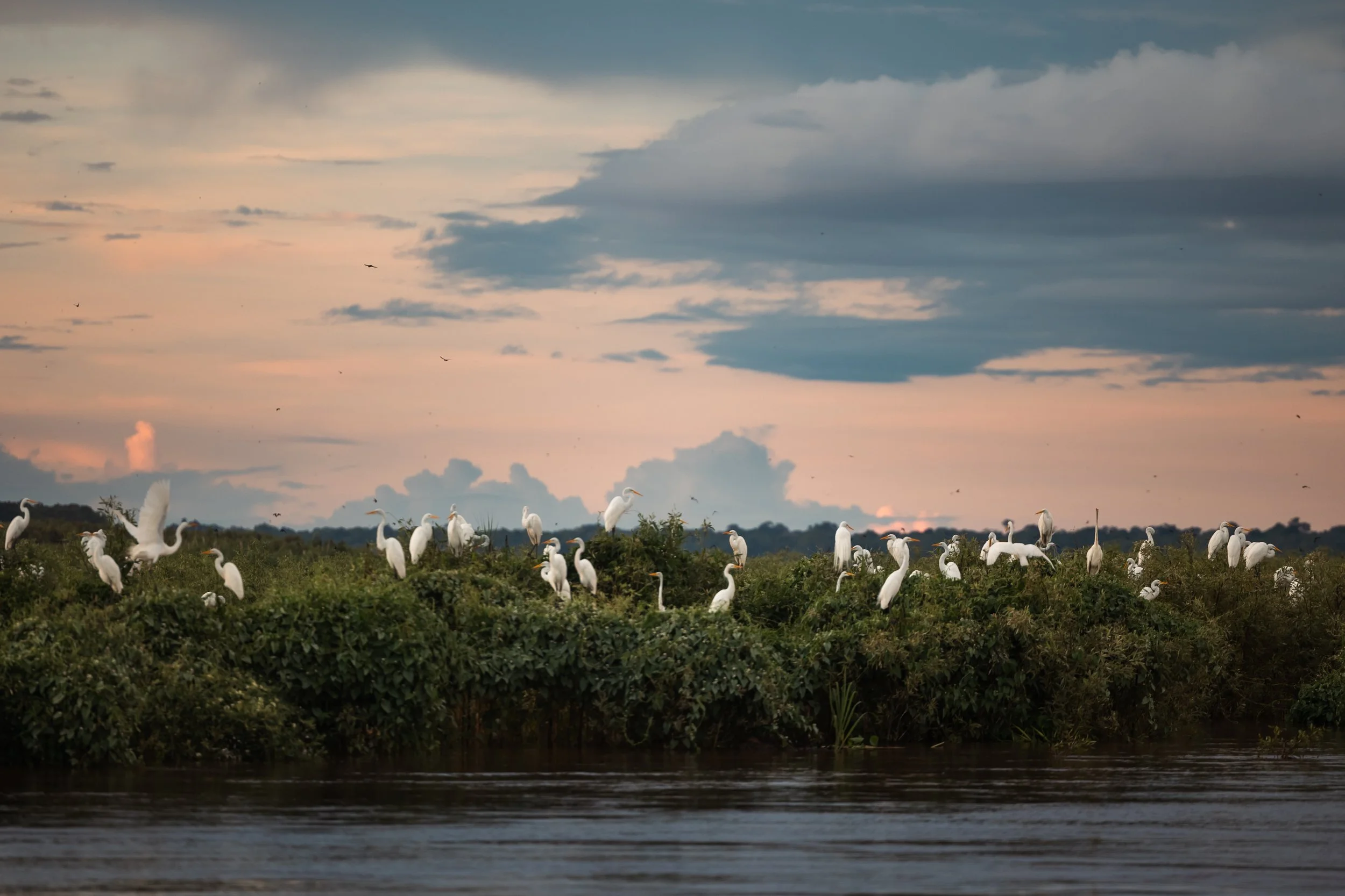 Amazon Rainforest + Auqua Expedition_Peru-33.jpg