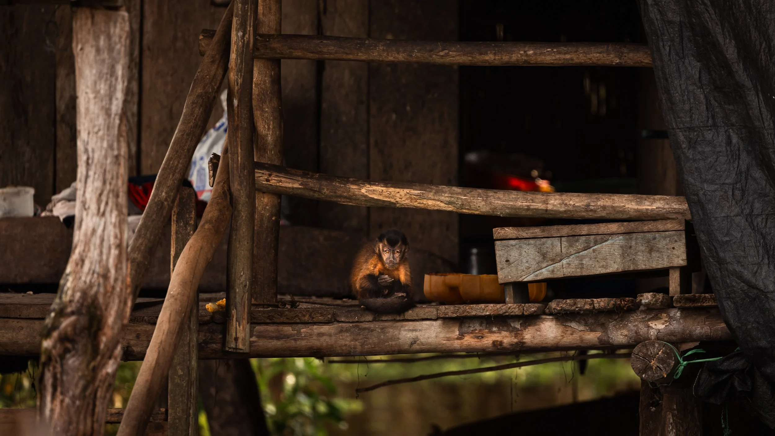 Amazon Rainforest + Auqua Expedition_Peru-4.jpg