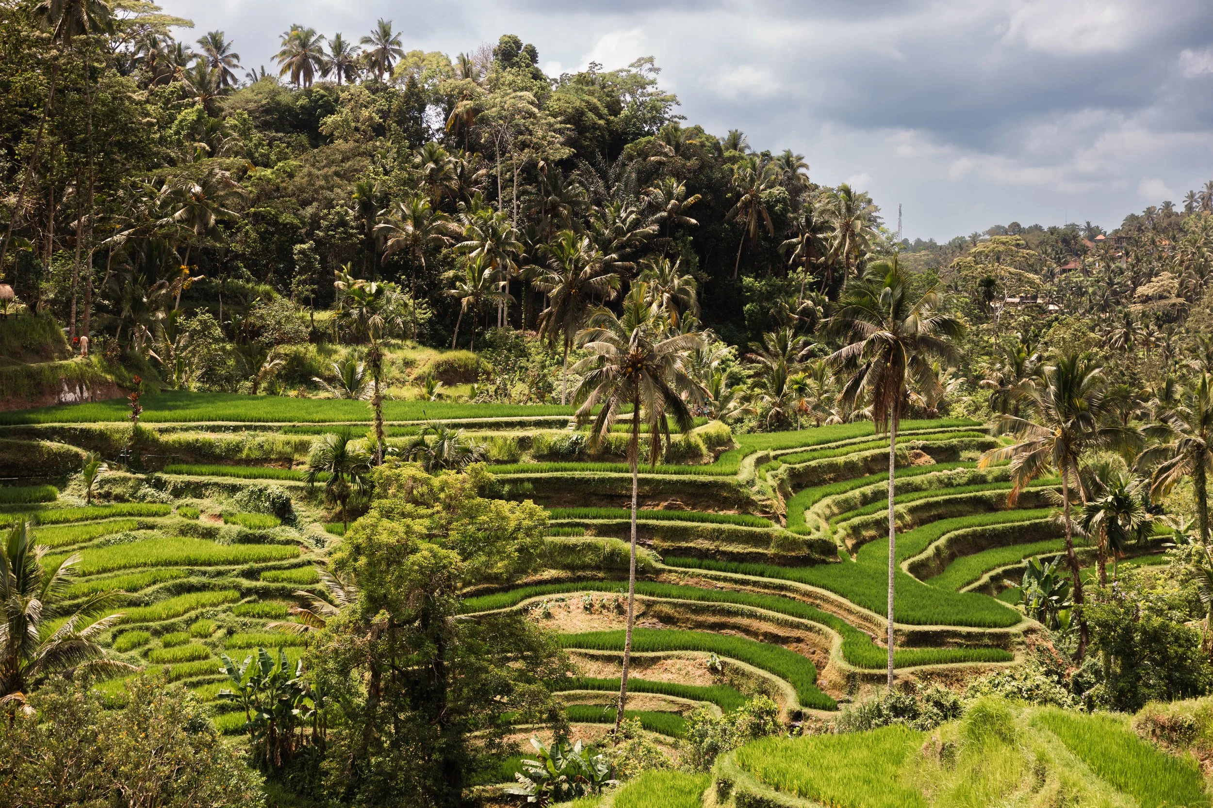 PB Ubud Bali-6.jpg