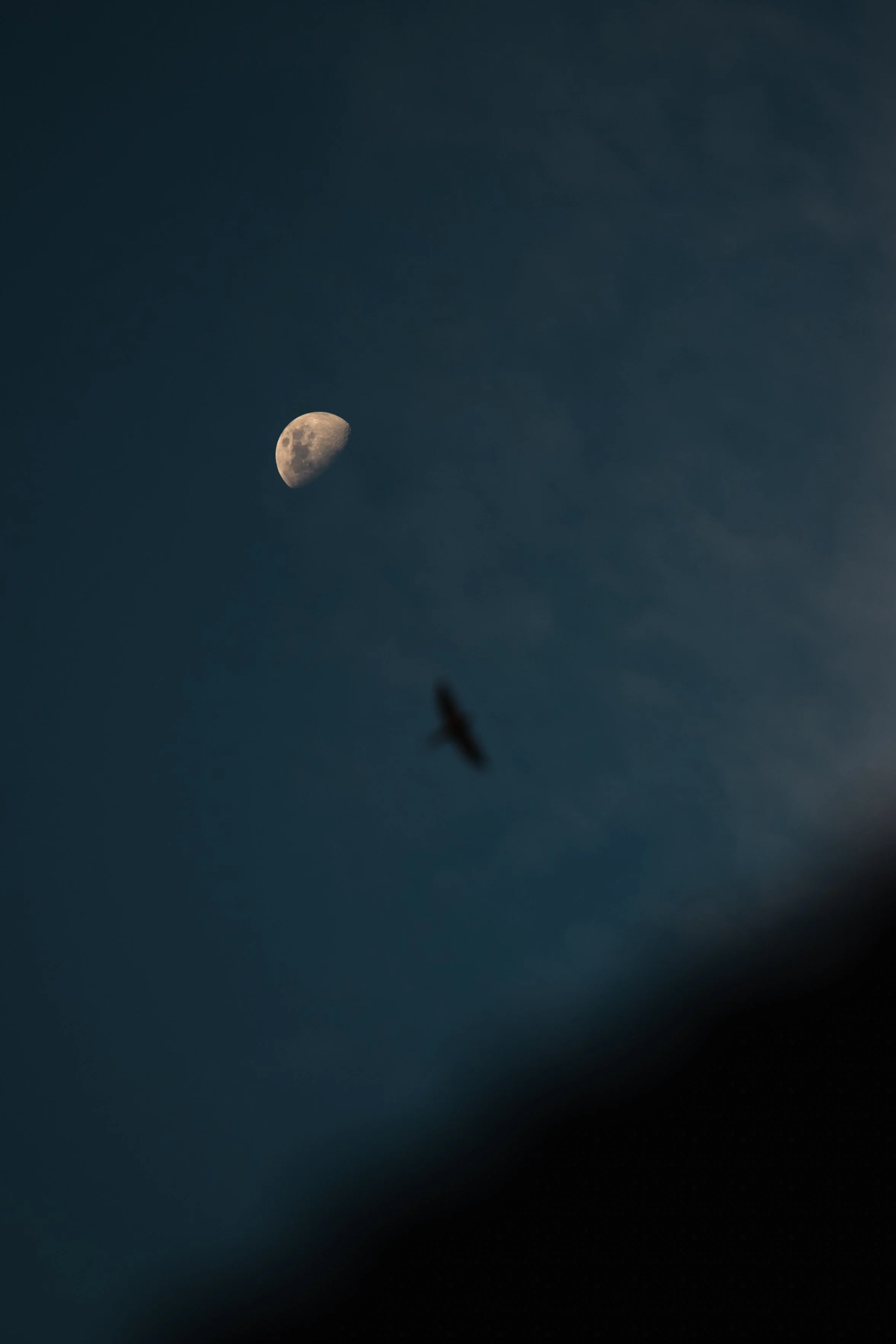 Amazon Rainforest + Auqua Expedition (Peru)-53.jpg