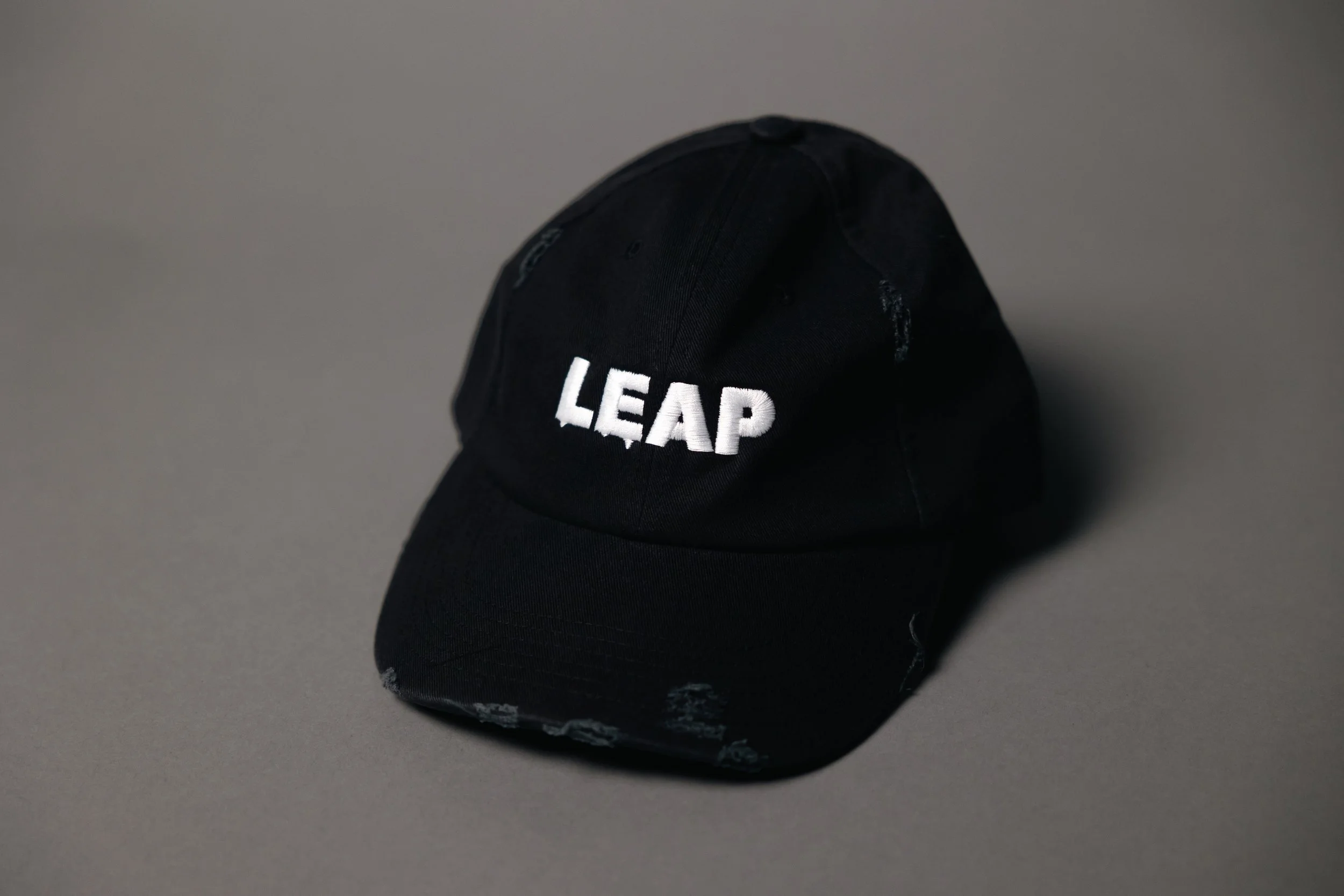 LEAP-22.jpg
