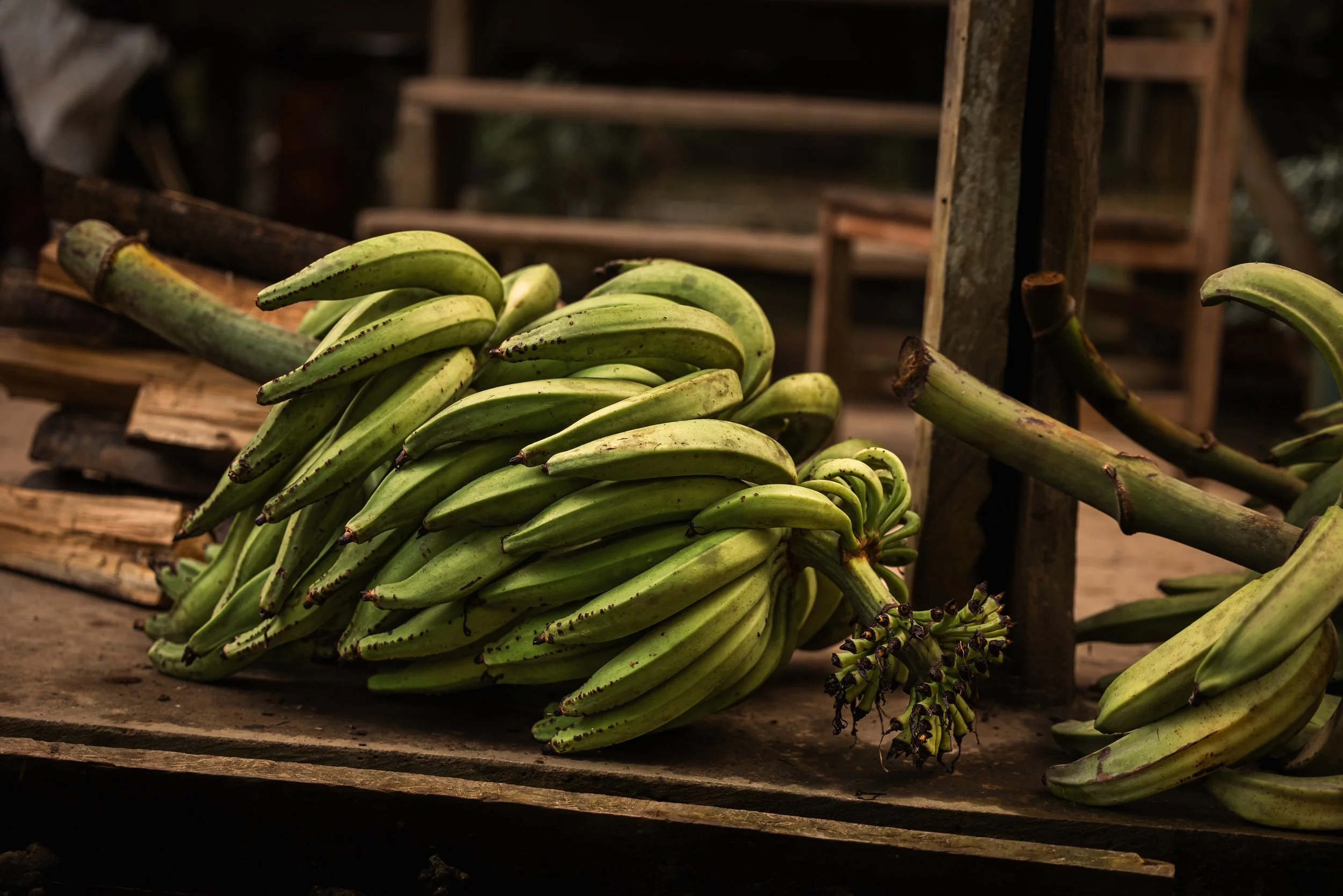 Amazon Rainforest + Auqua Expedition_Peru-22.jpg