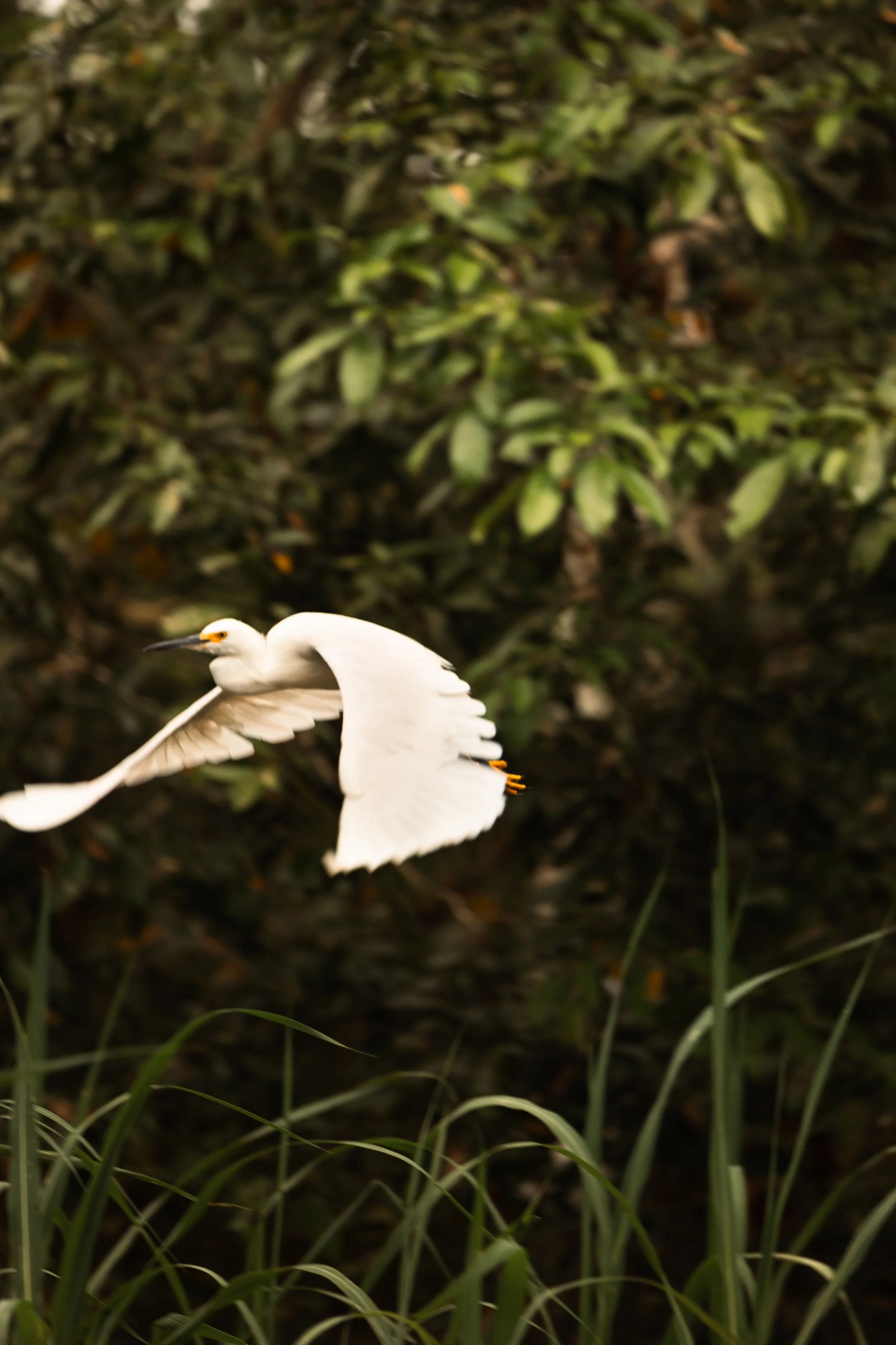 Amazon Rainforest + Auqua Expedition (Peru)-22.jpg