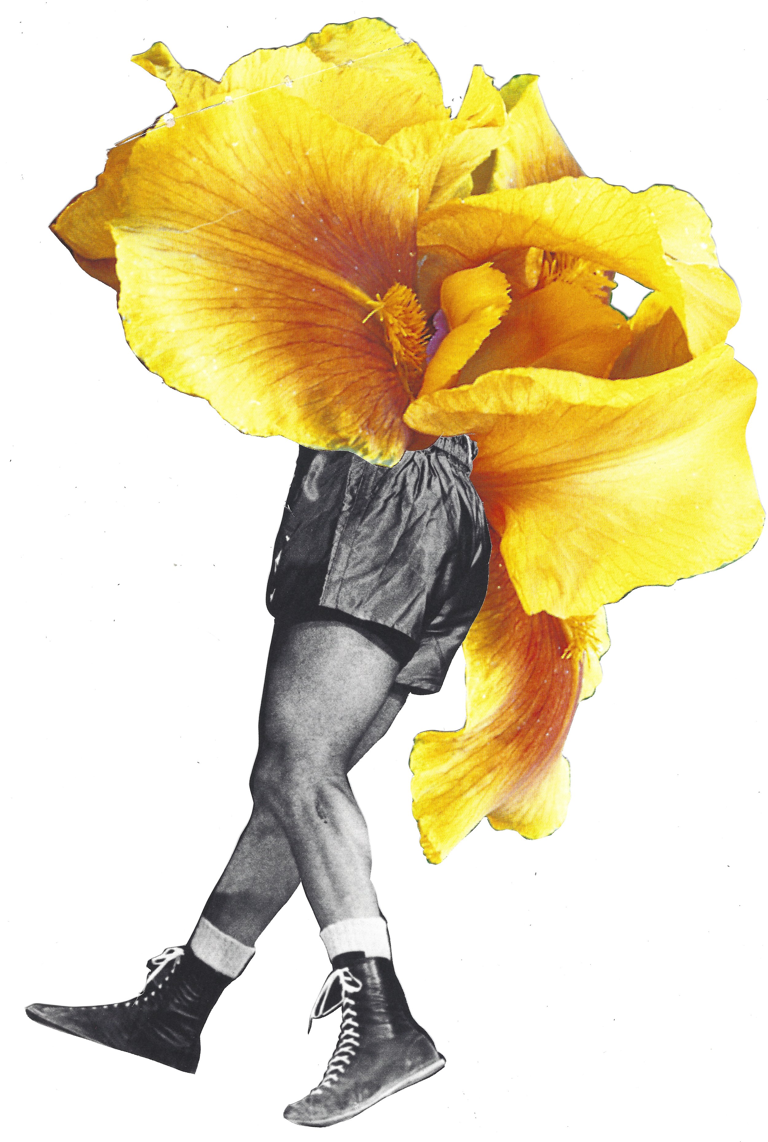 fighter_flower.jpeg
