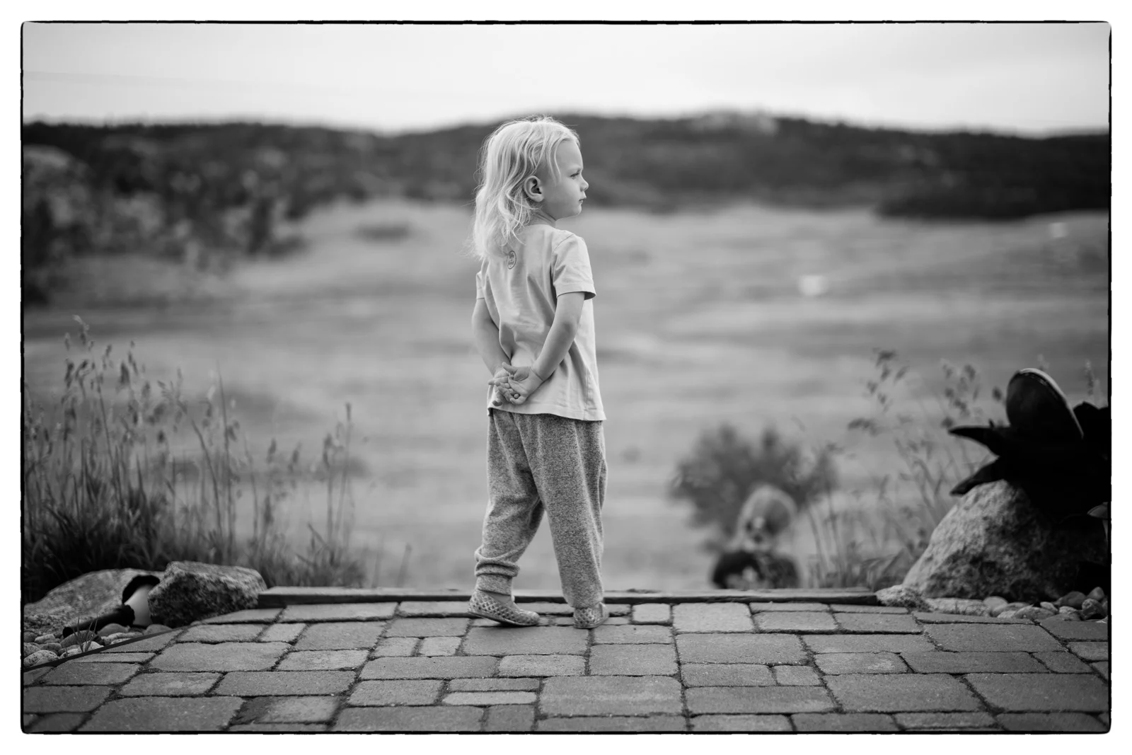 20190811_0477_LEICA M10-P-Edit.jpg