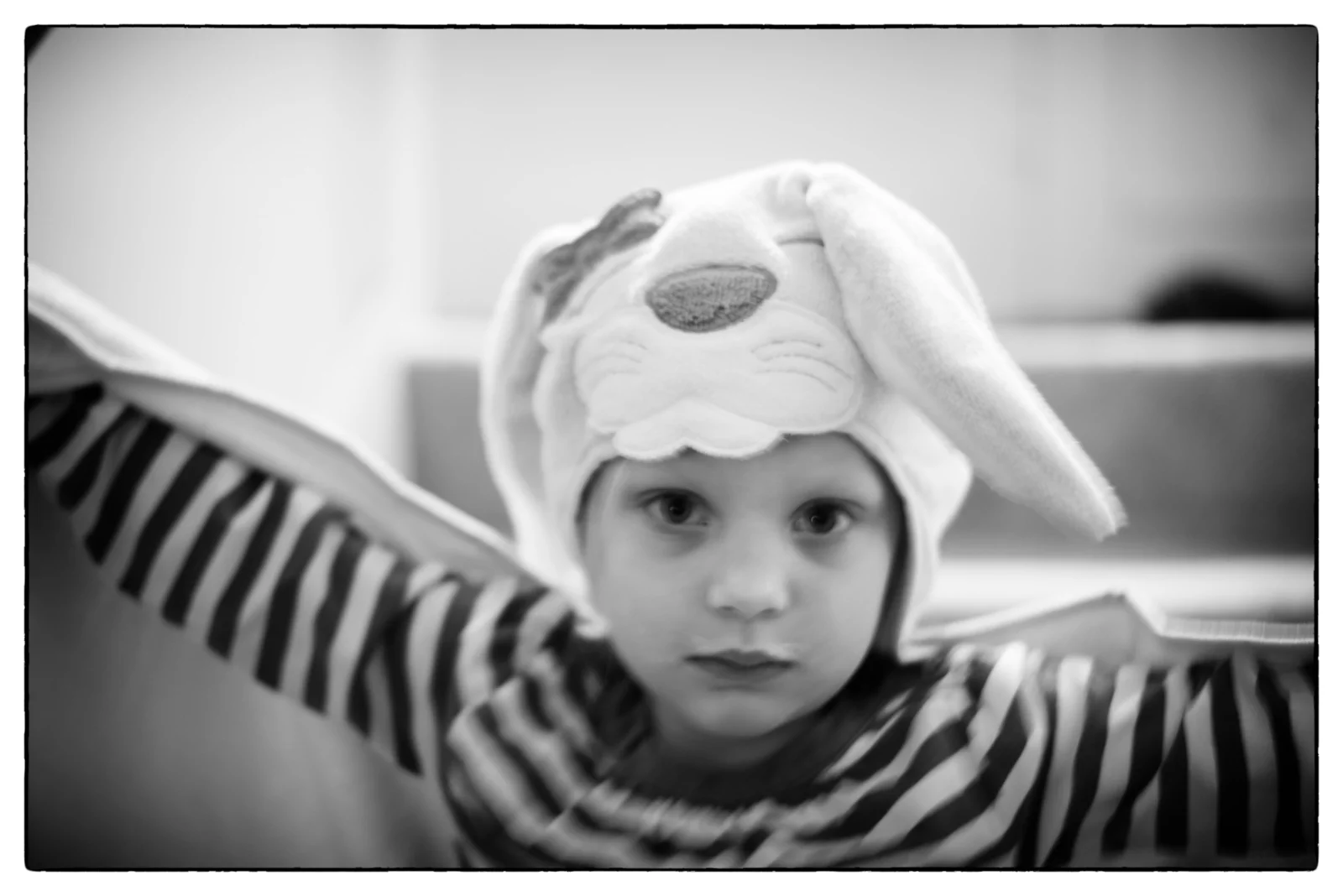 DSC_0251-Edit.jpg