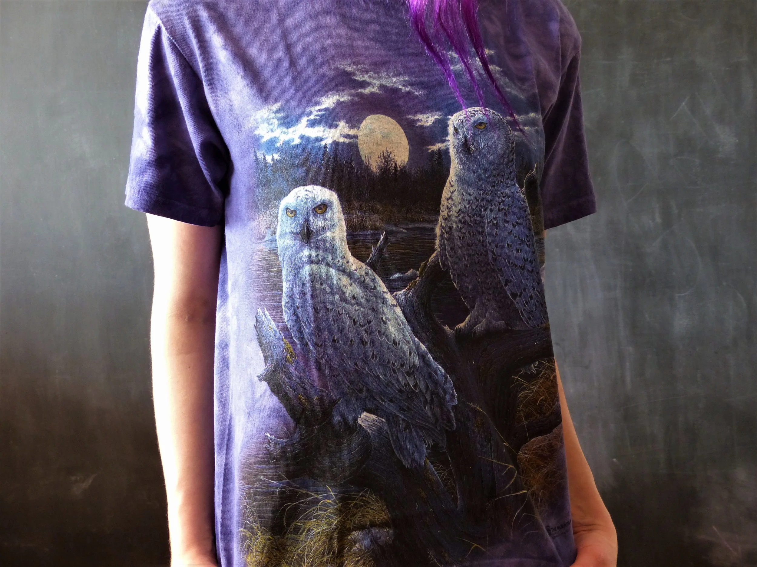 'Snowy Owls' T-Shirt from The Mountain