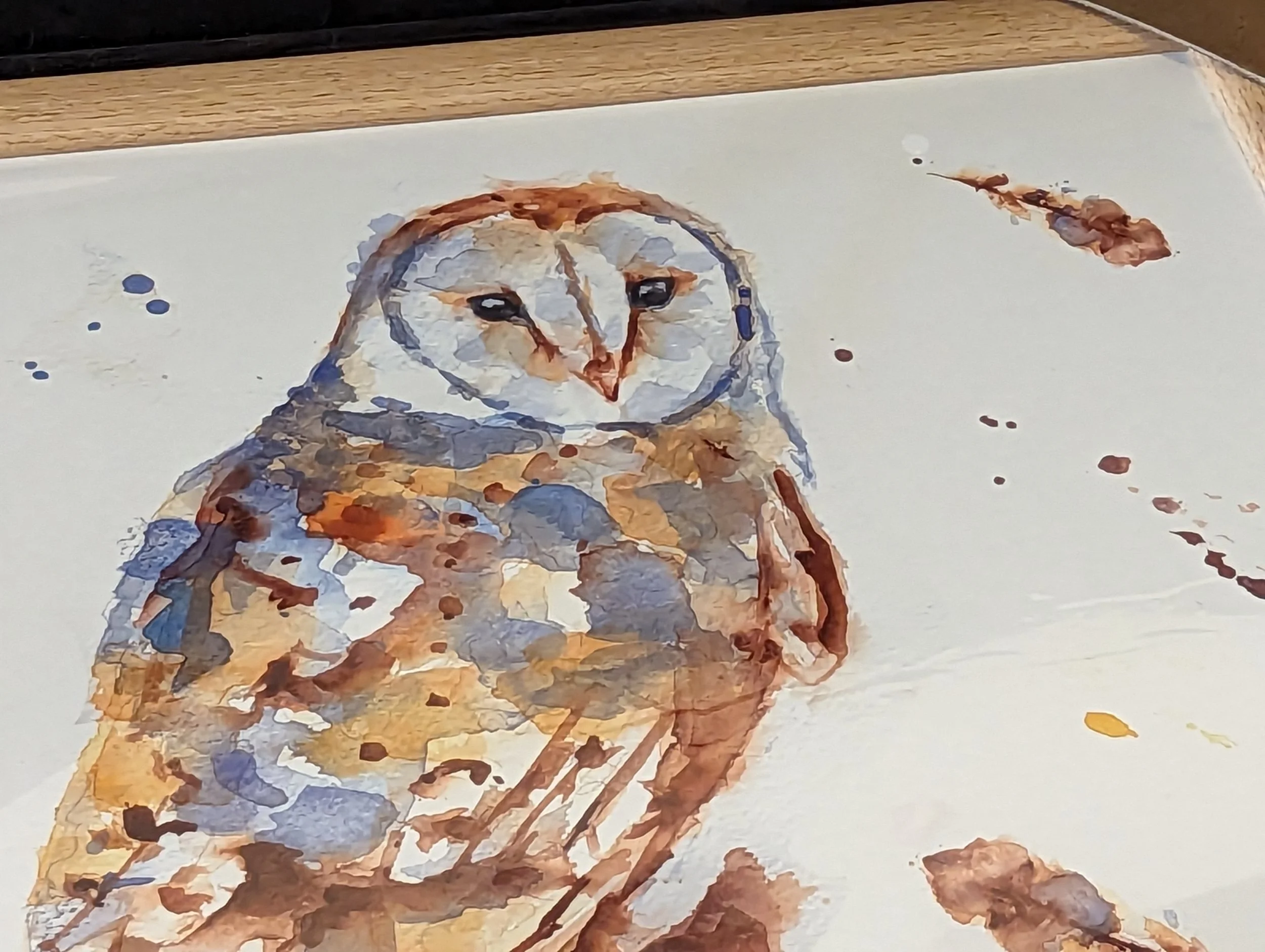 'Country' Watercolour Barn Owl Collection